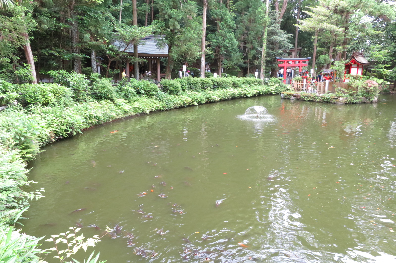 狭井神社の鳥居近くにある鎮女池（しずめいけ）。