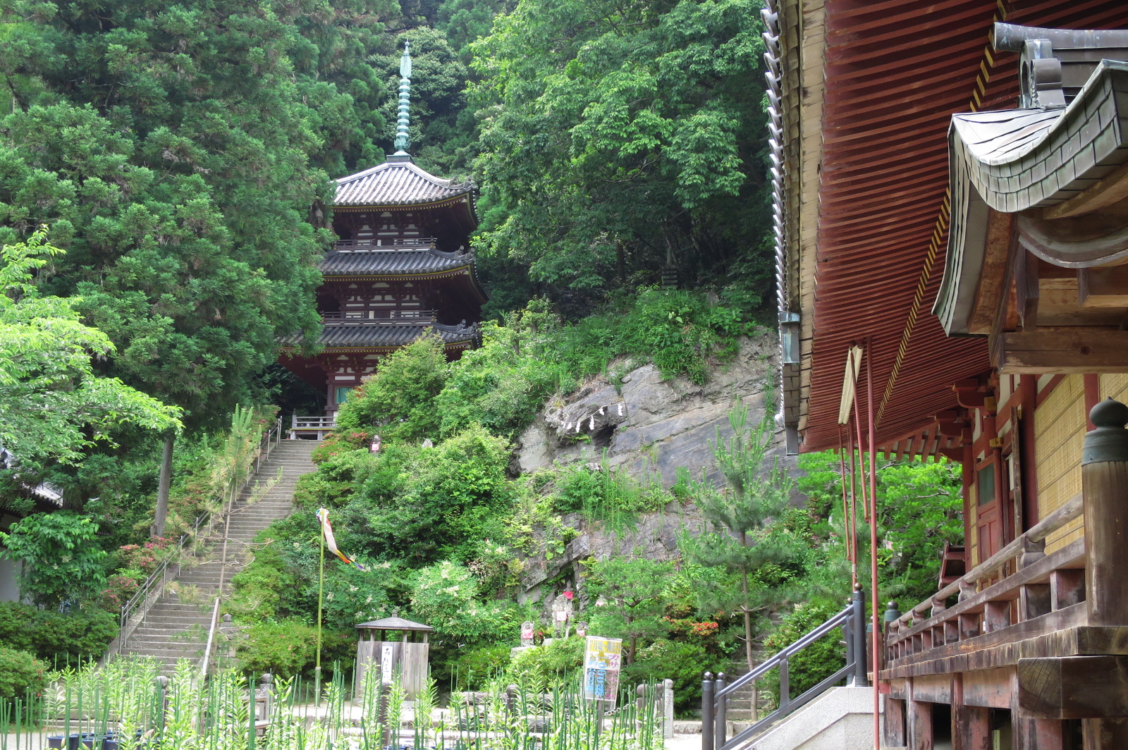 重要文化財・松尾寺本堂と三重塔。