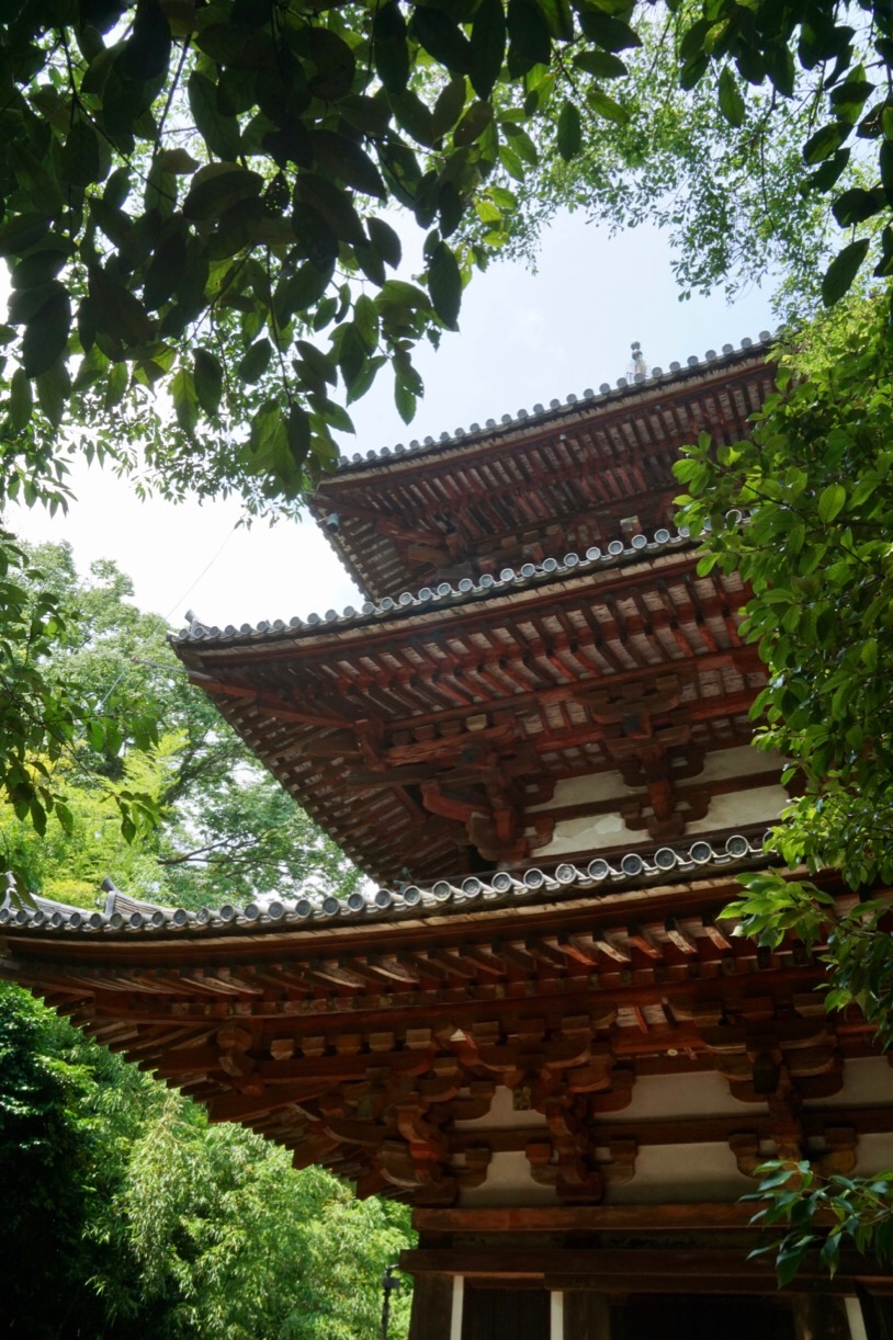當麻寺東塔。美しいですね。