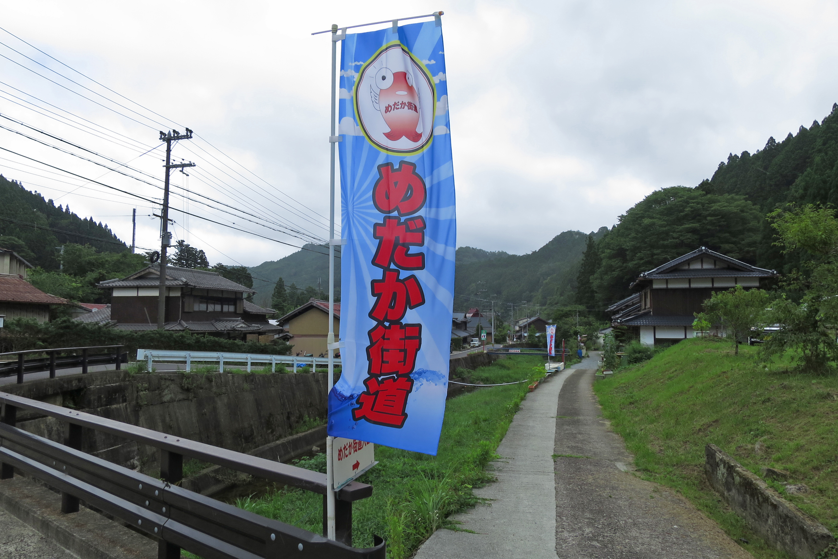 のぼりが立っているので、わかりやすいです。現在は10軒ほどの家で展示・販売されています。