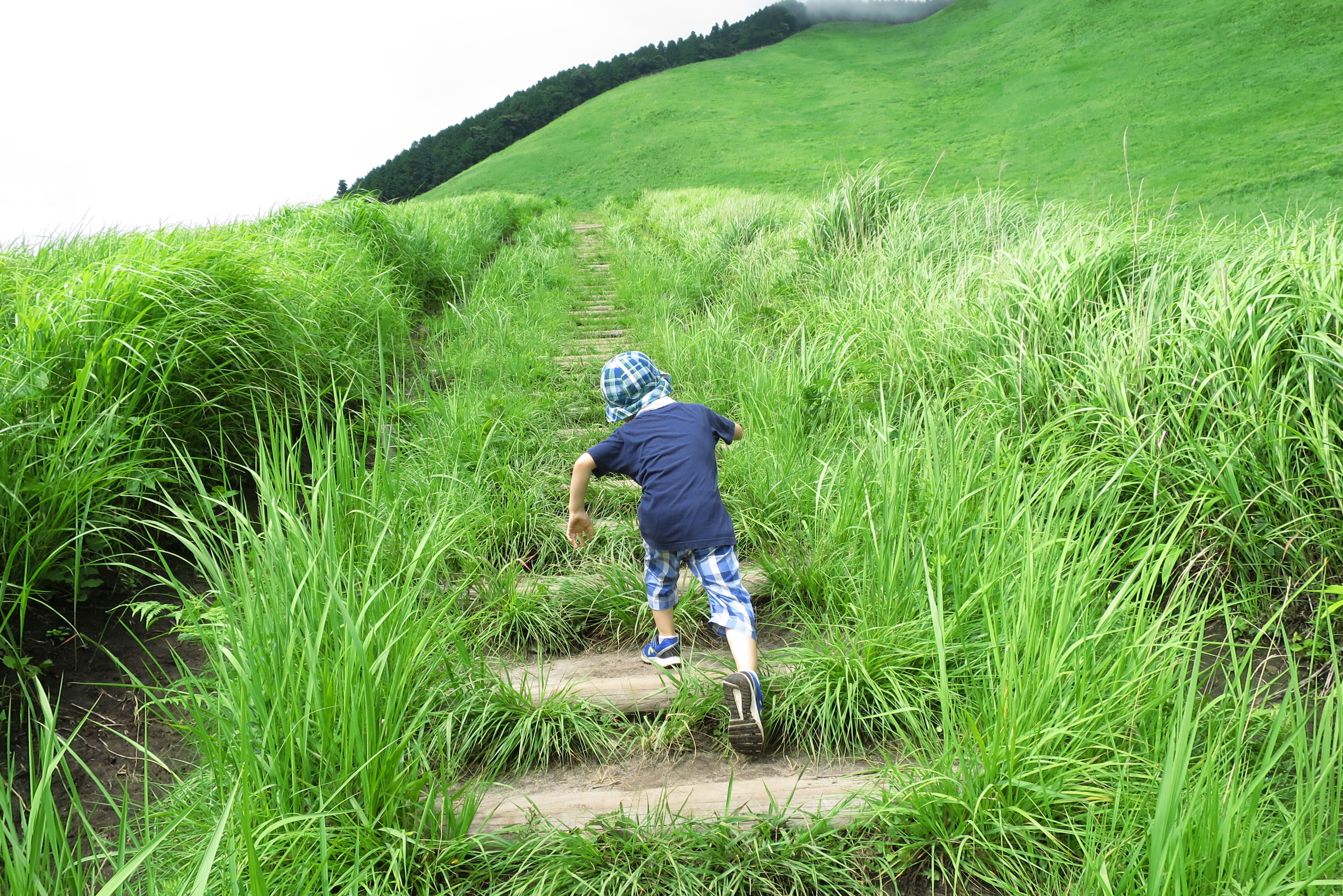 子供も元気に登り始めました。大丈夫かなぁー。