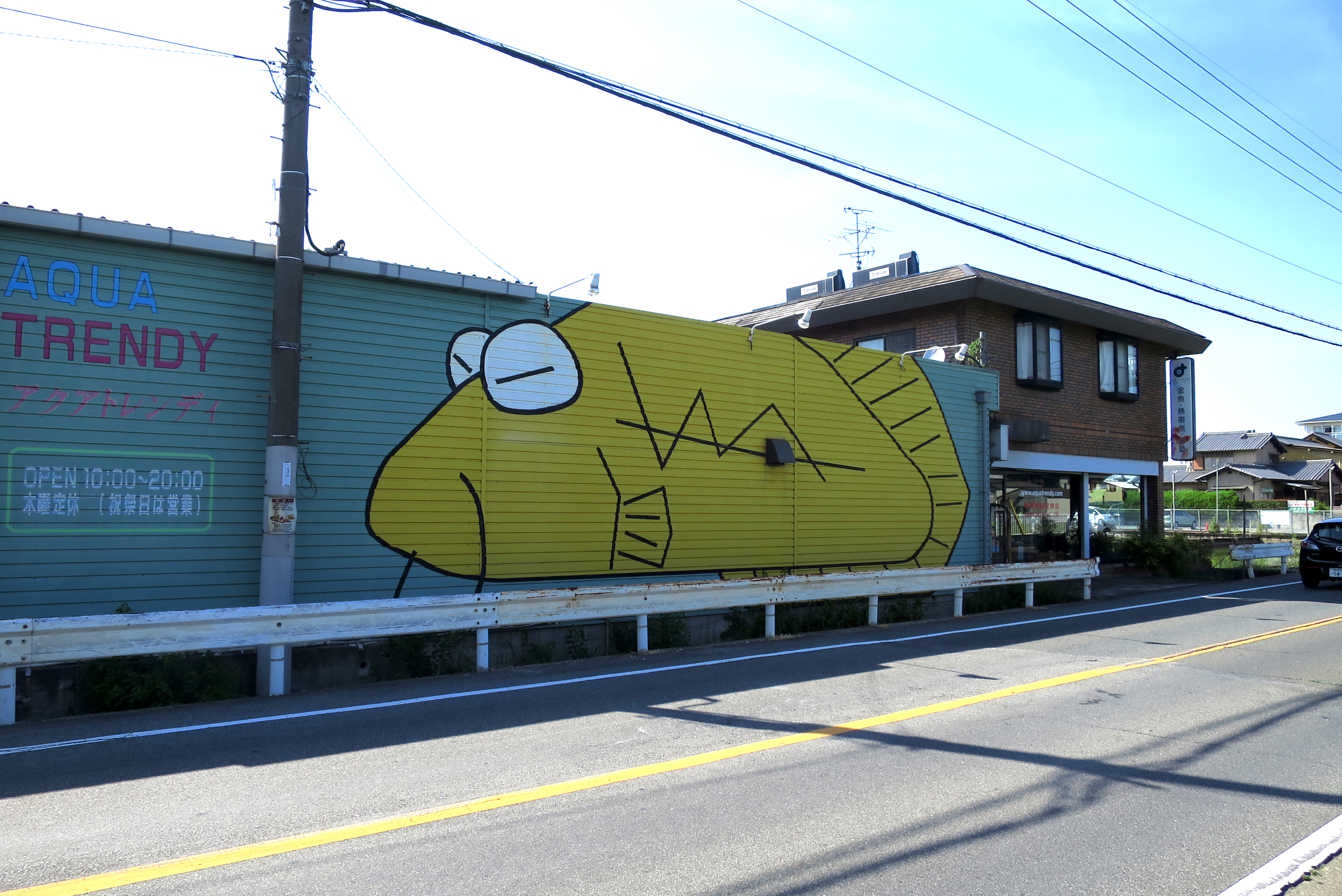 秋篠川を北上すると「アクアトレンディ」という金魚を売る店があります。