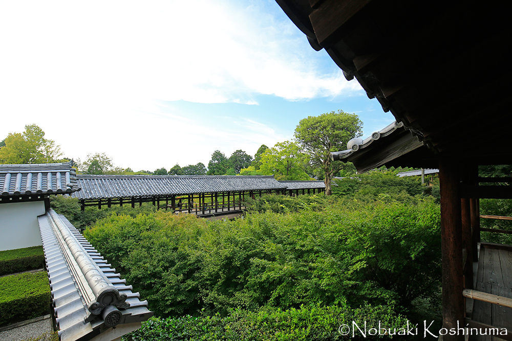 夕方に、東福寺に戻ってきました。東福寺本坊庭園です。
