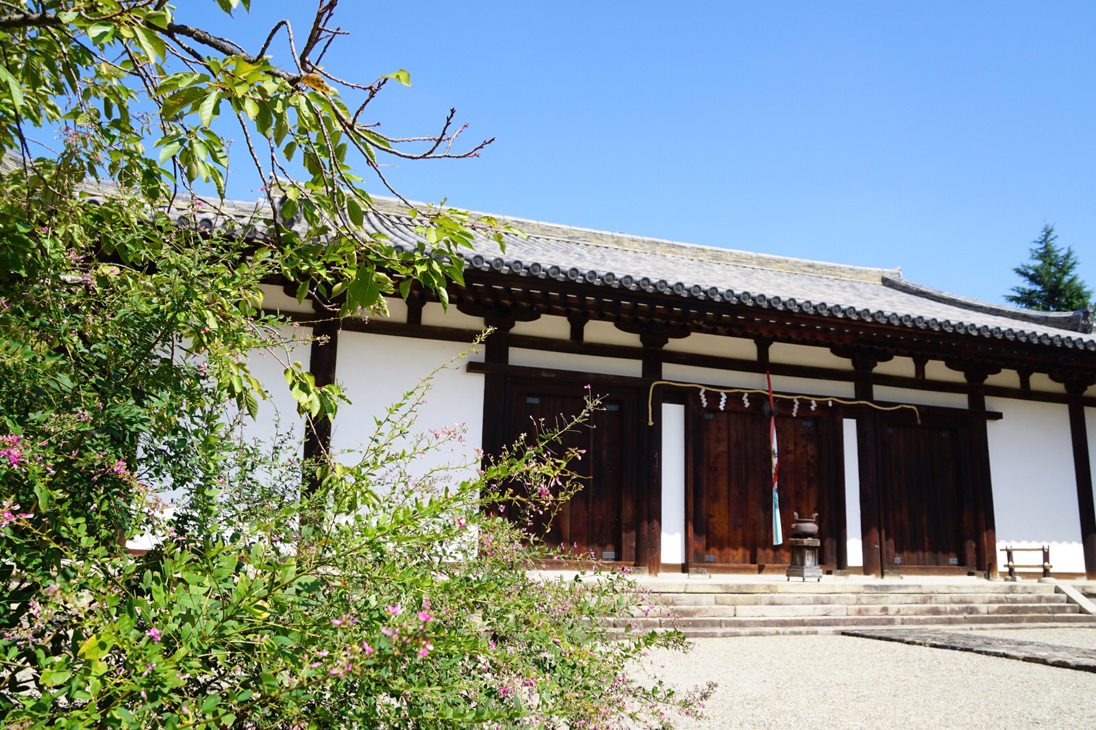 高円山は萩の名所としても有名で、新薬師寺にも萩の花が咲いています。