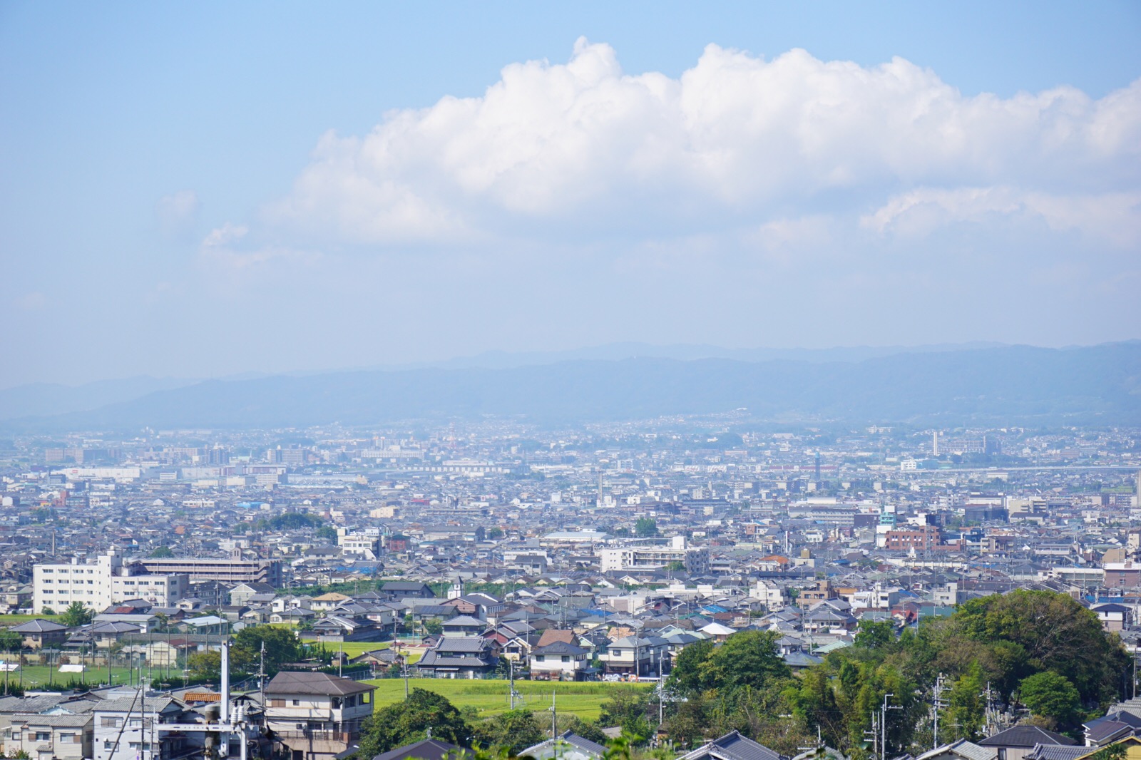 奈良市街が一望できます。