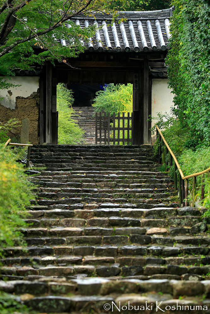 100段余りの雰囲気ある石階段と山門。