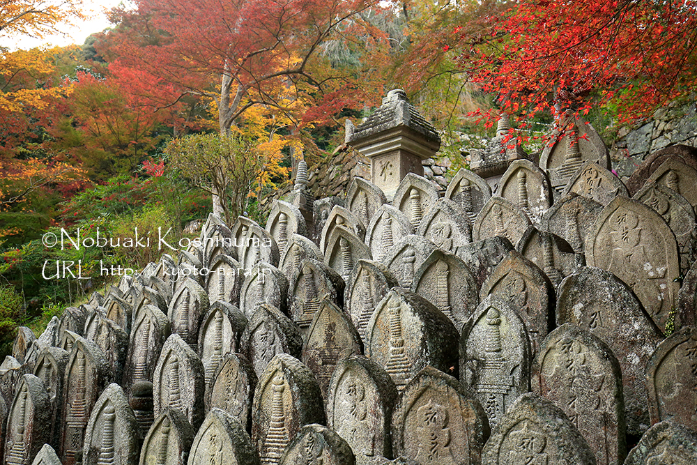 僧侶の墓石群