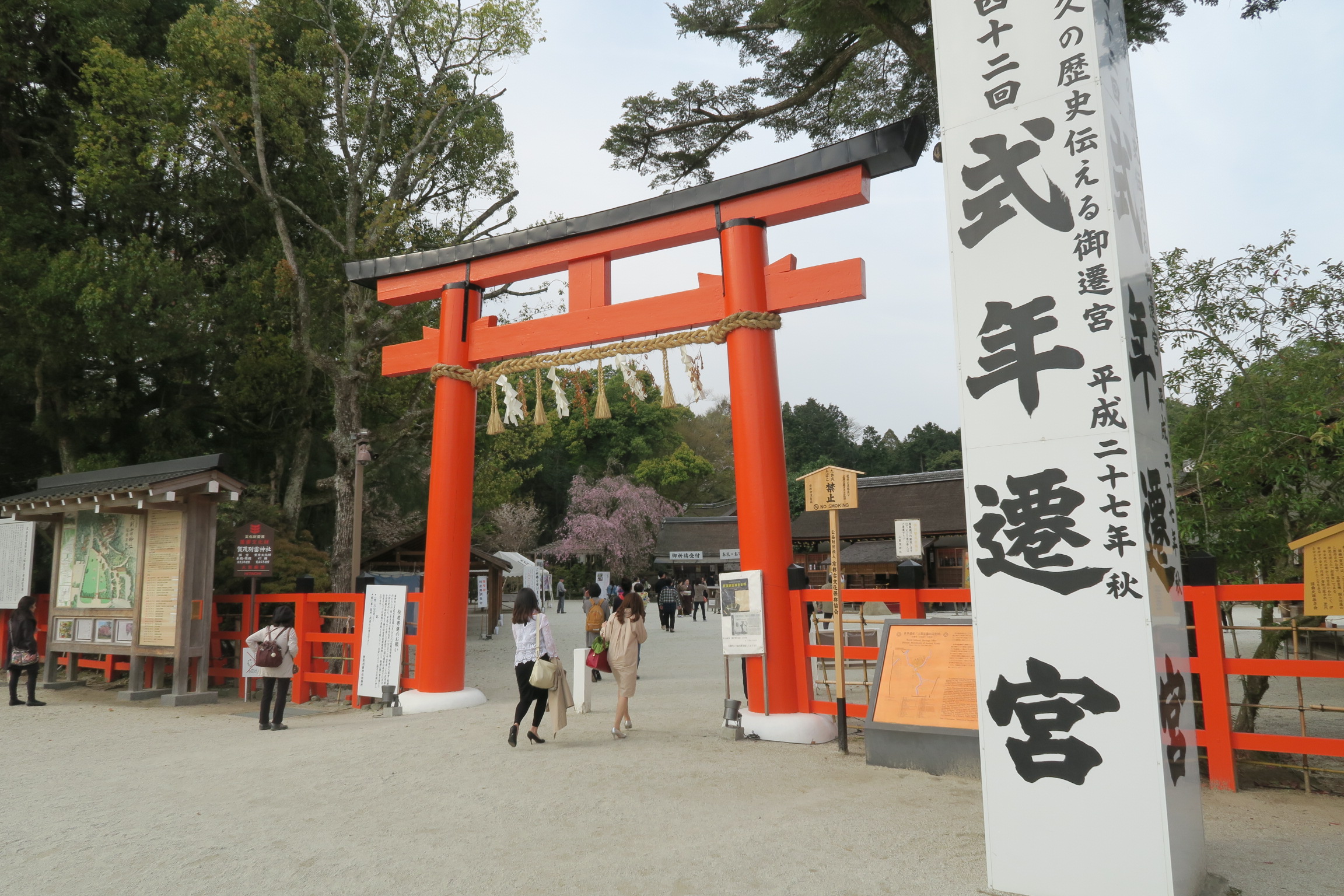 二の鳥居の奥に見える桜はベニシダレ桜で「みあれ桜」という名前が付いています。