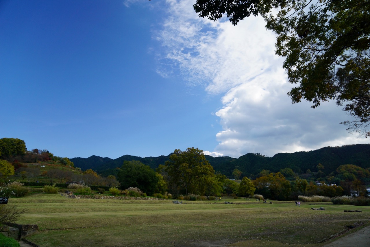 談山神社と明日香はとても近いです。石舞台のあたりも紅葉は終わっていました。