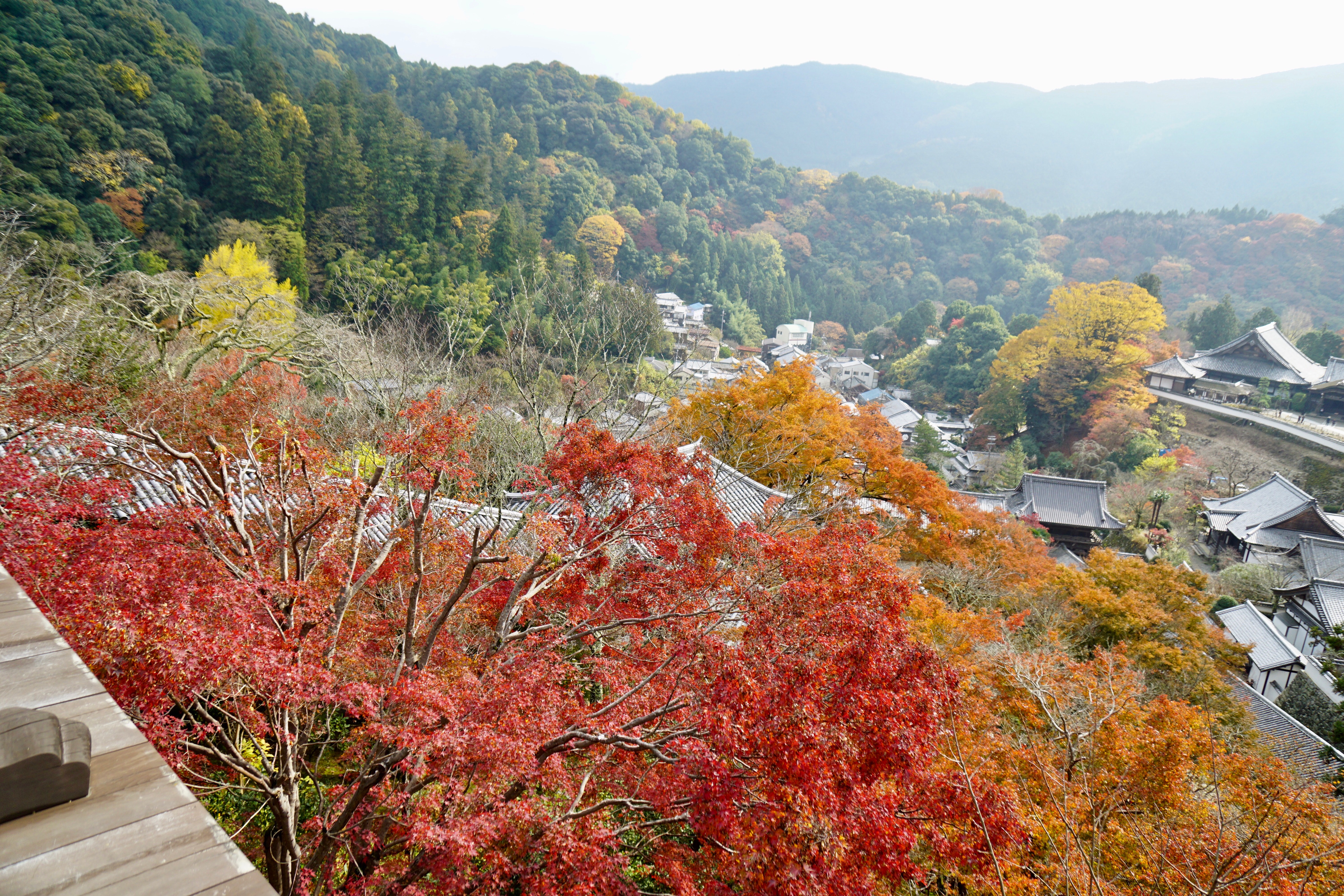 本堂からの眺め　遠くの山々も紅葉しており絶景でした。