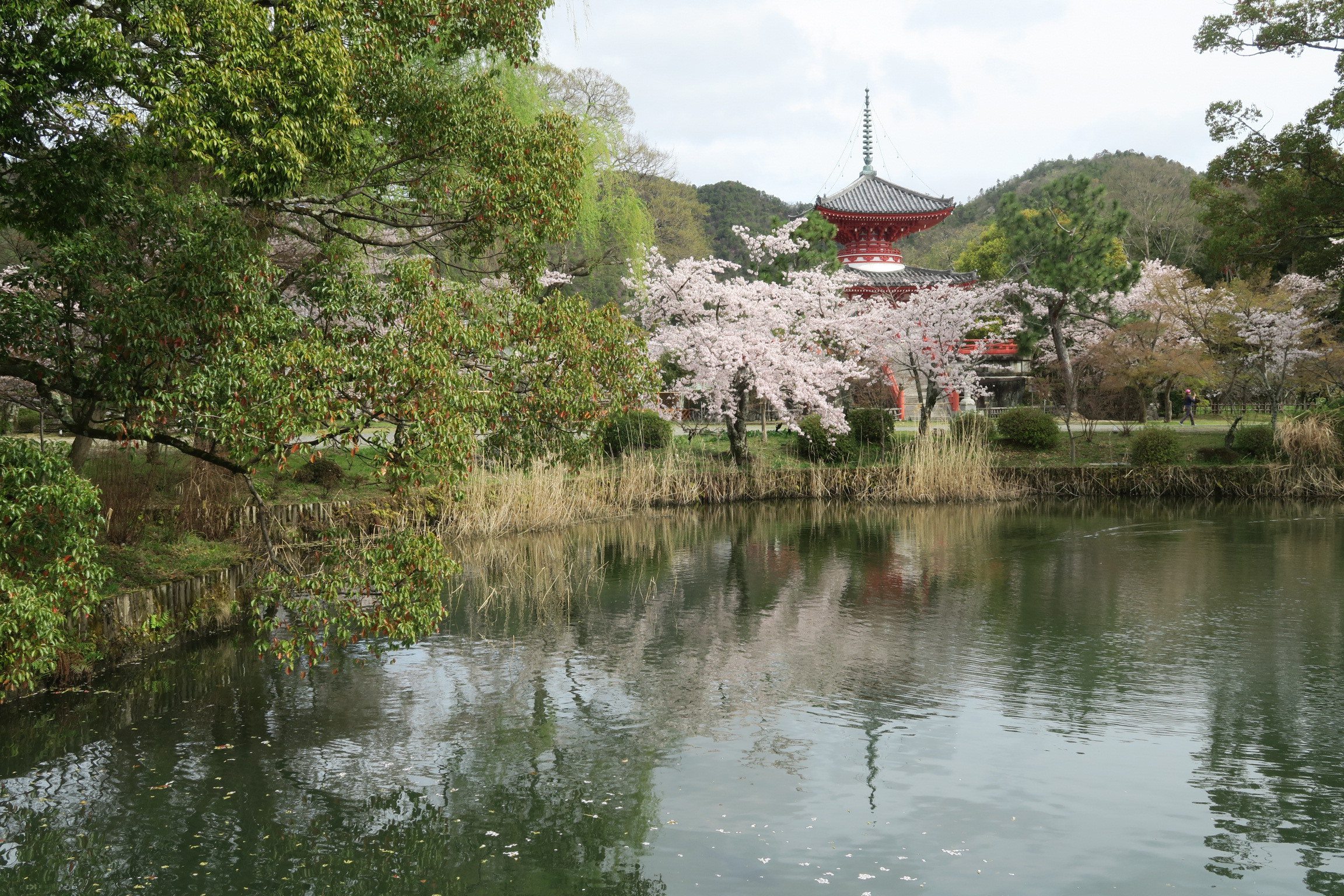 心経宝塔と呼ばれる多宝塔。昭和42年に嵯峨帝心経写経1150年を記念して建てられました。