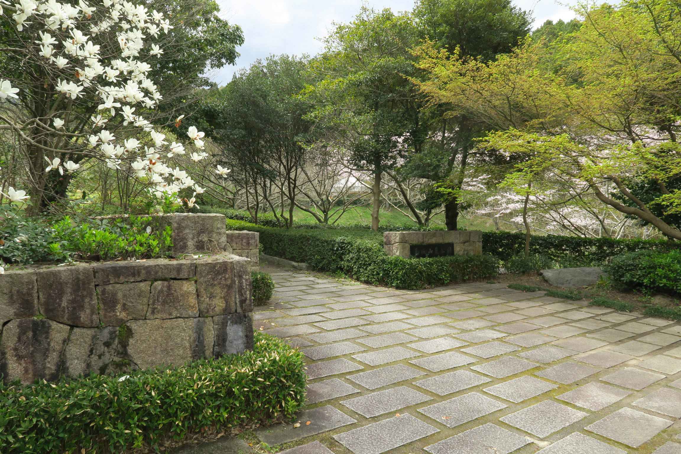 葛城山麓公園の入り口。モクレンの花が咲いてました。