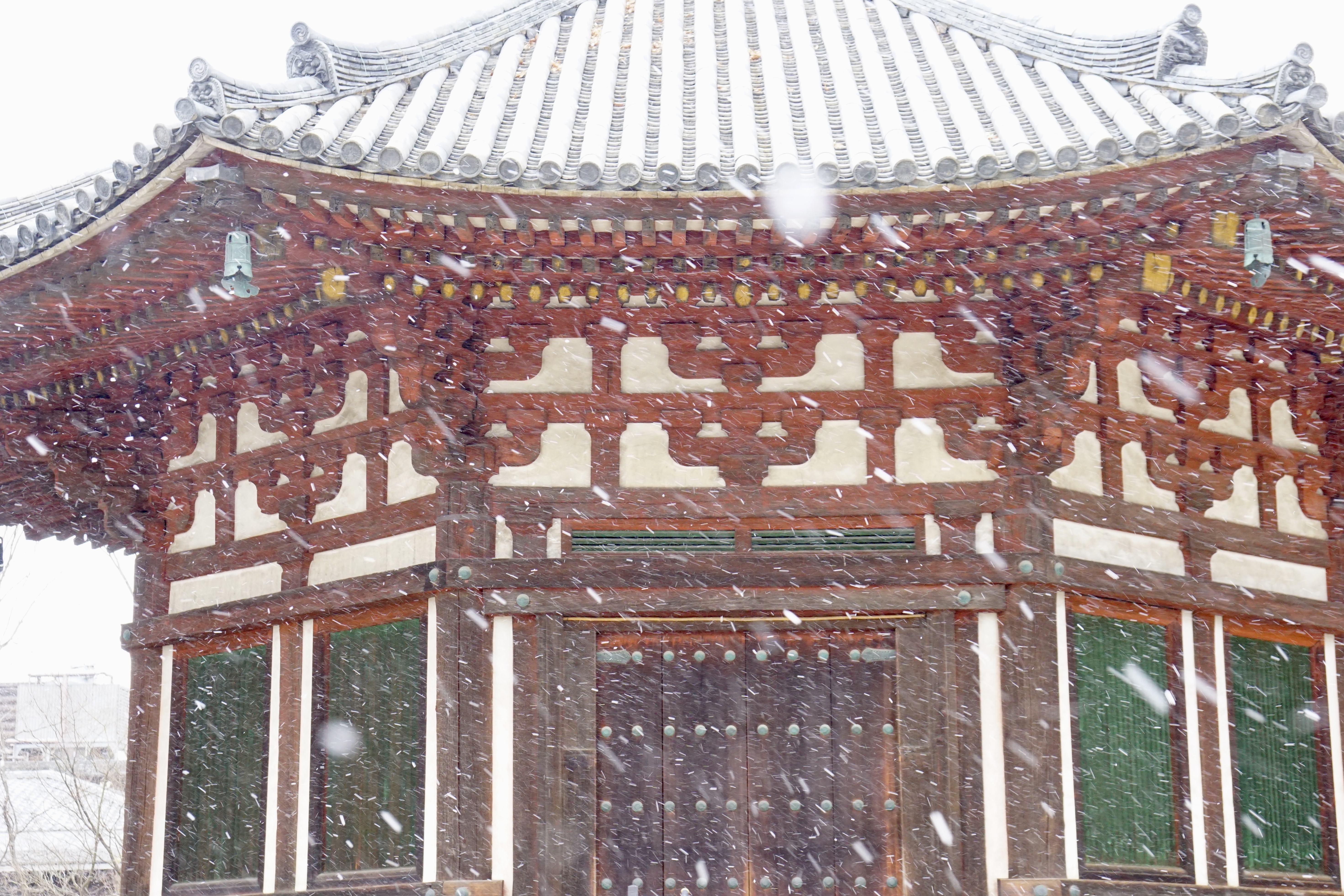 帰ろうと思ったら吹雪いてきたのでまた興福寺へ。南円堂とても綺麗でした。