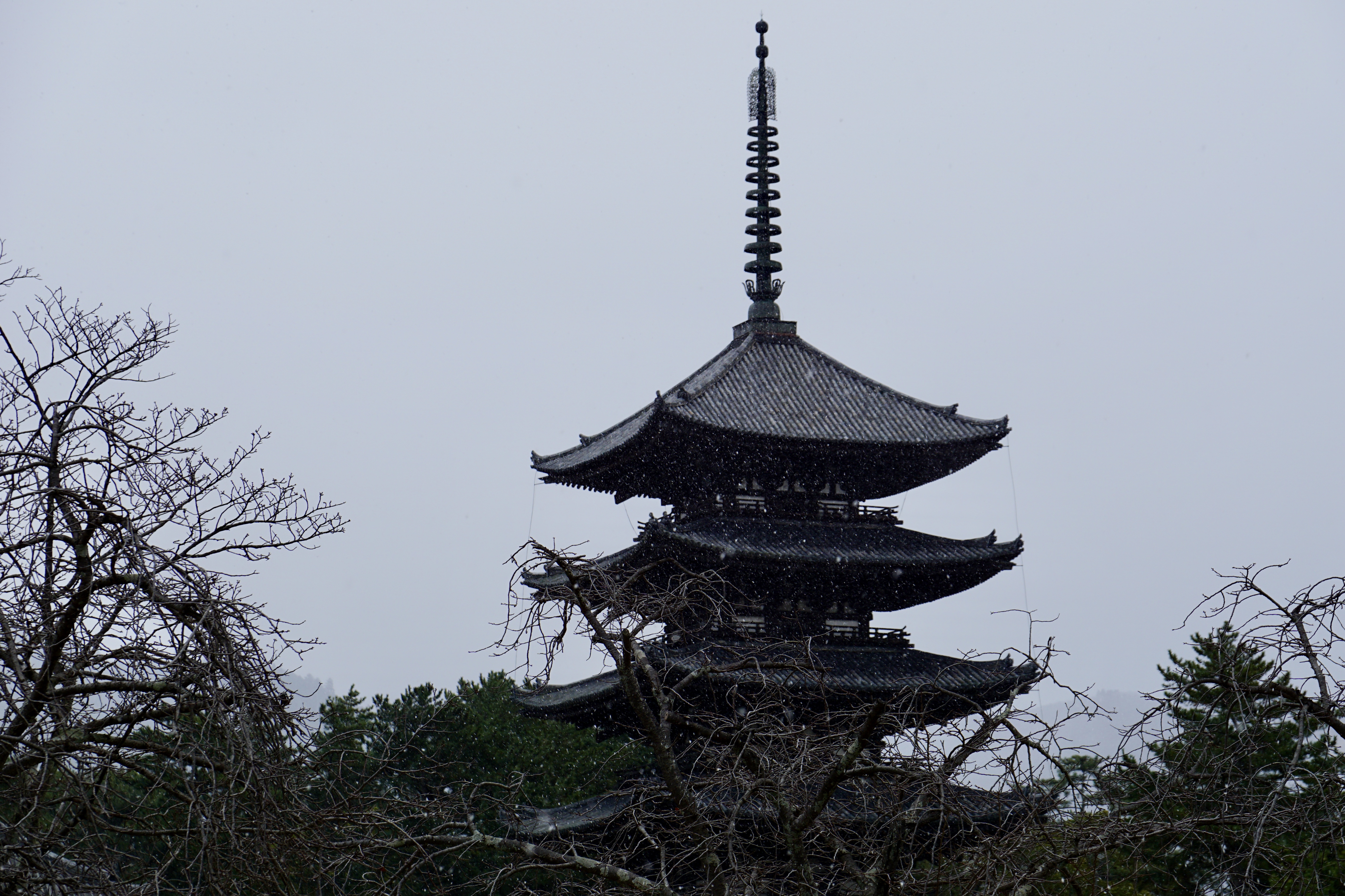 山も白く染まって本当に綺麗でした。