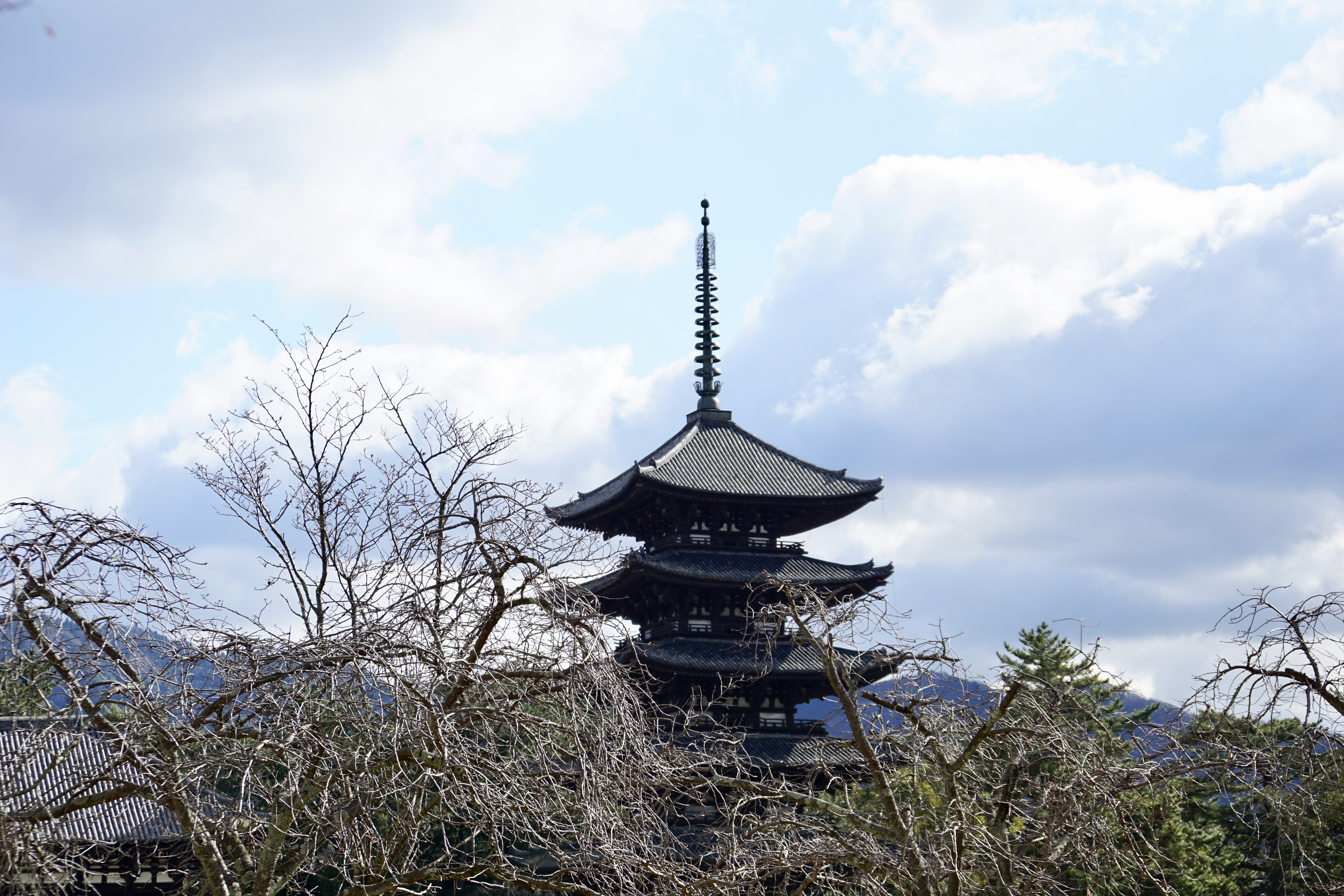 寒そうな興福寺です。
