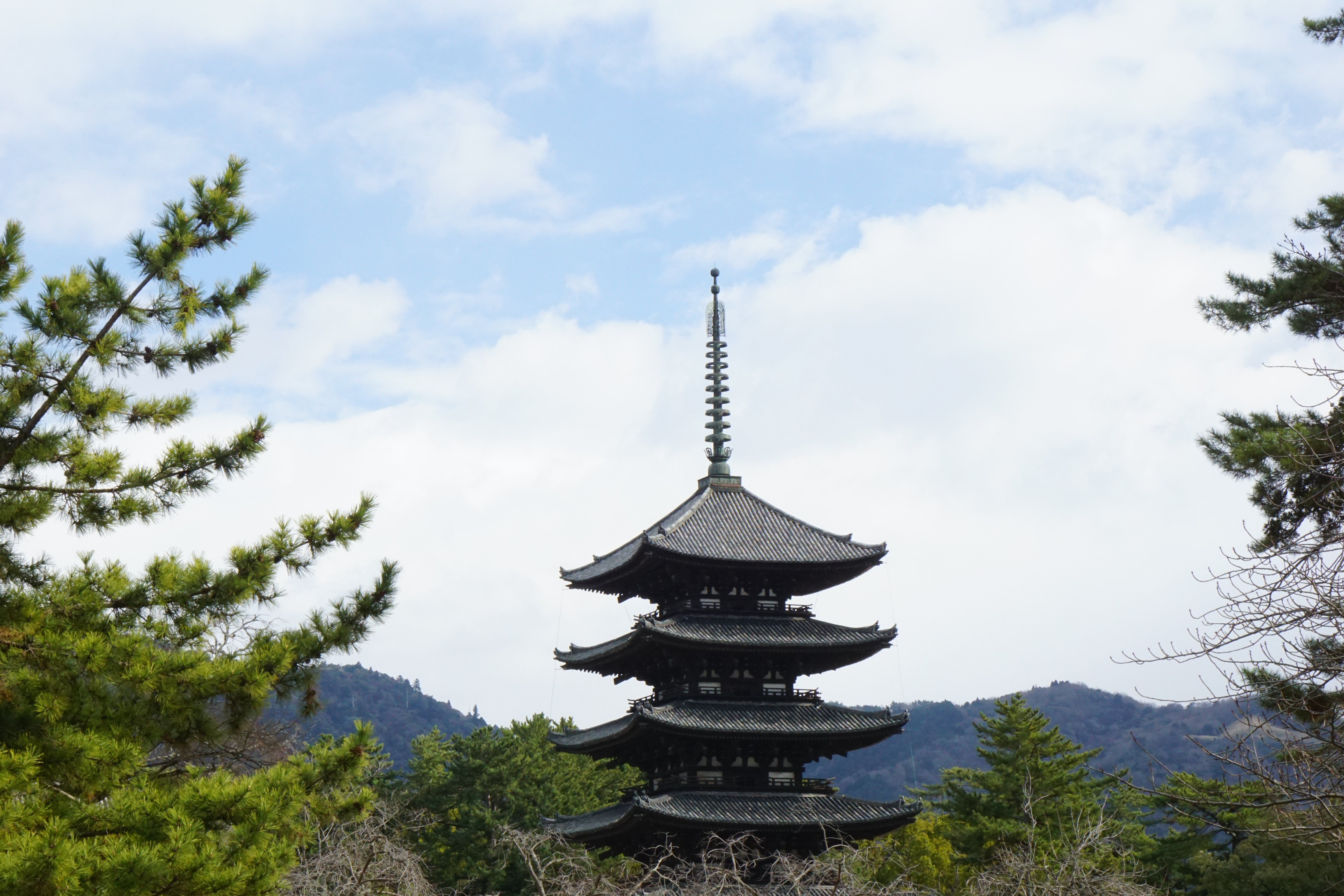 すぐにまた晴れて美しい興福寺。