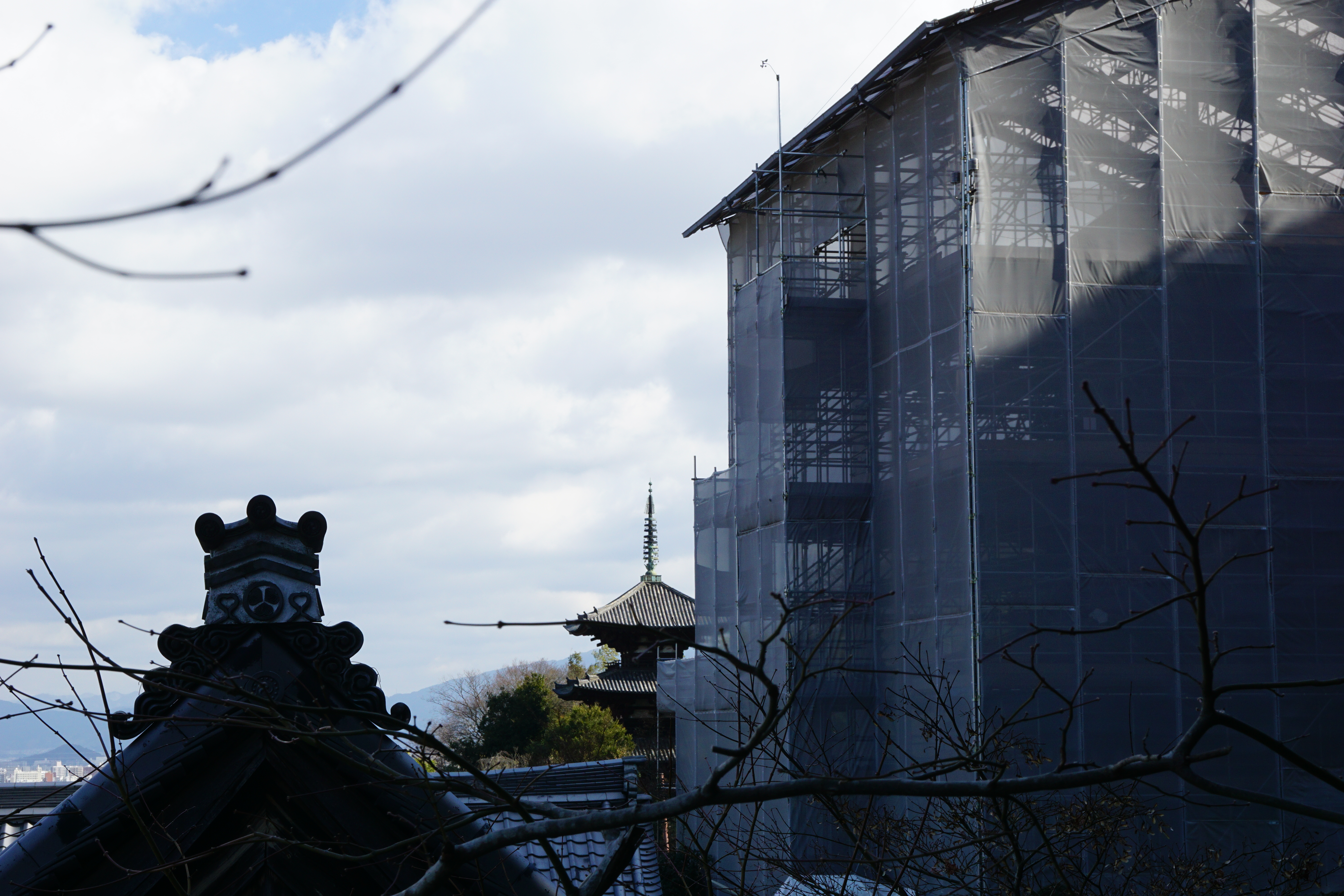 當麻寺には東西2塔がありますが、西塔は現在修復中です。奥に見えるのが東塔です。