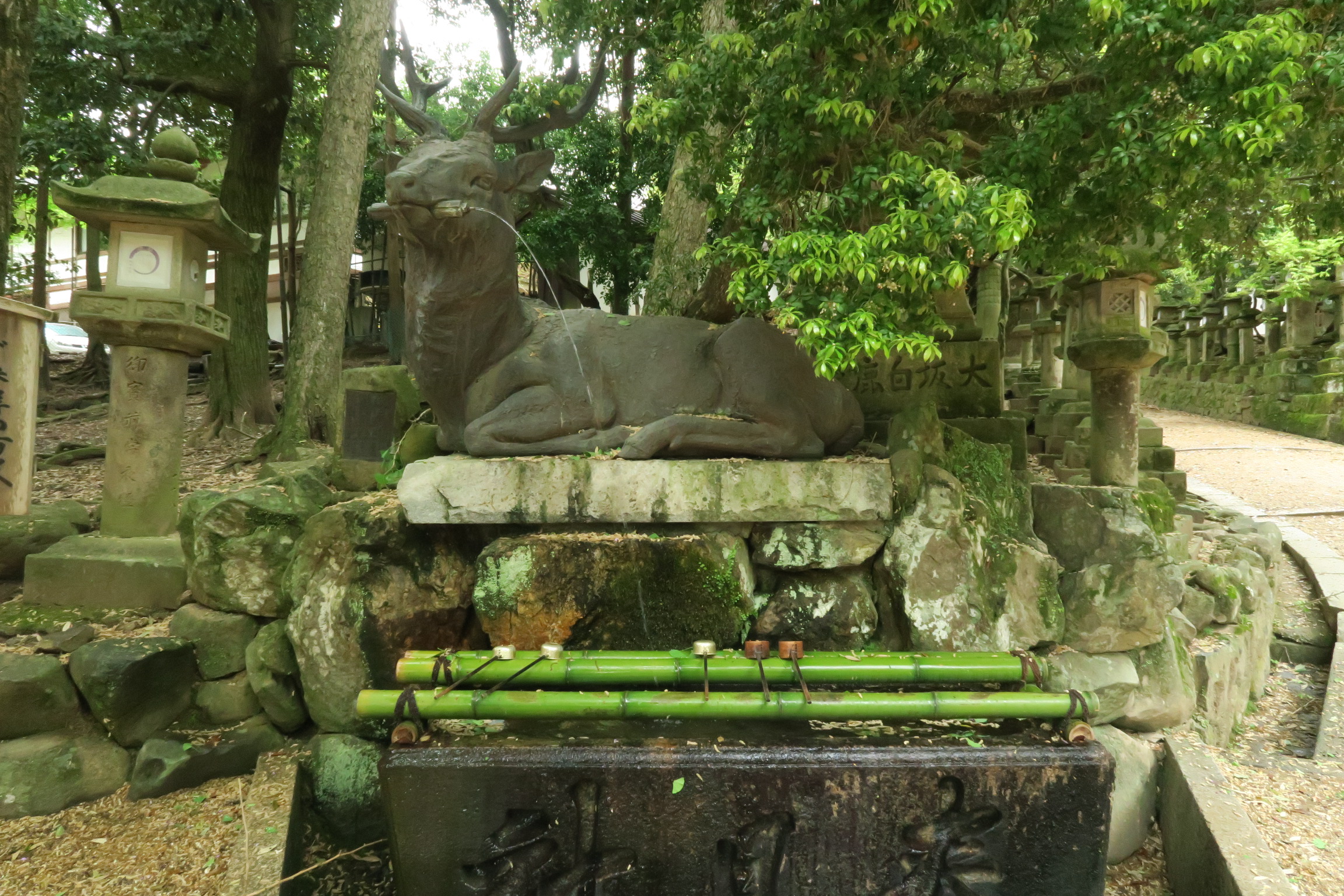 神社の手洗い場は、雲や雨を司る水の神様「龍」が多いのですが、春日大社は鹿さんです。