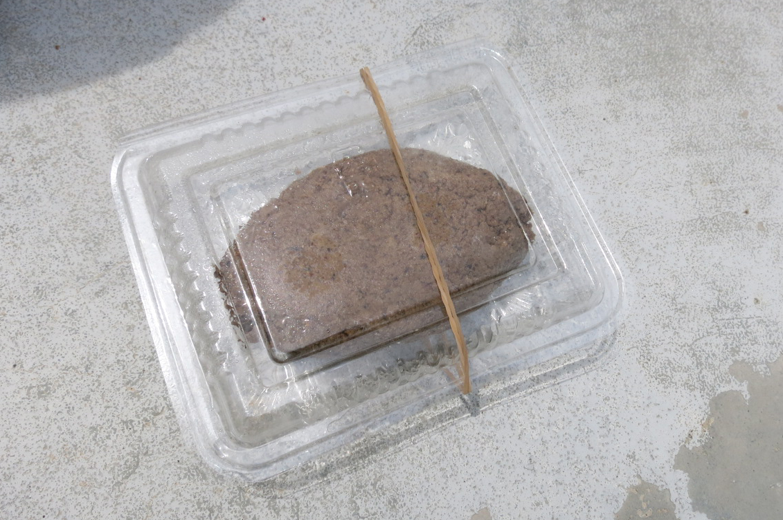 「おはぎ」のようなコイのエサ。美味しそう!