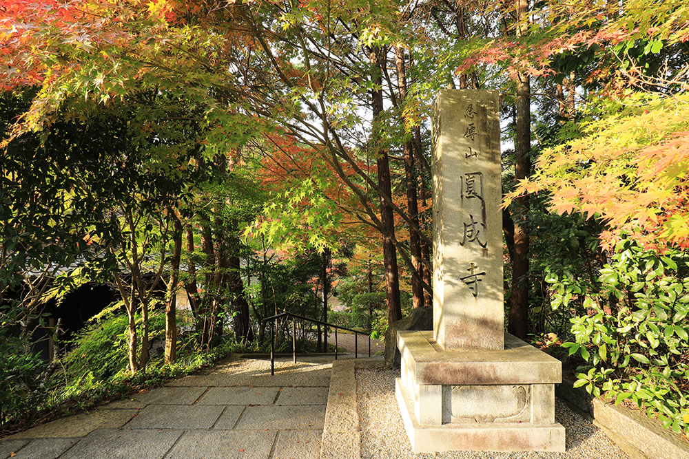 道沿いにある円成寺の案内石柱。