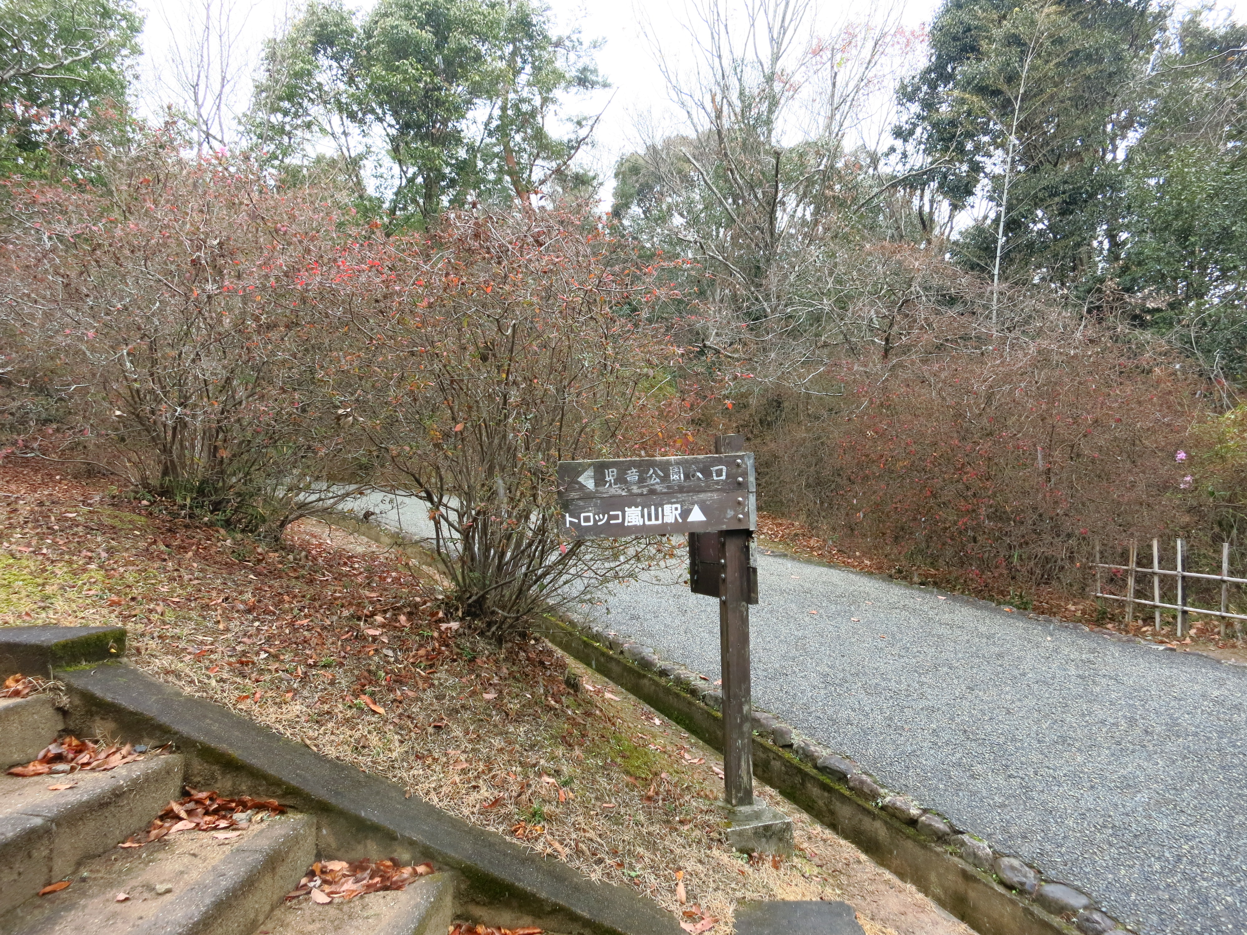 嵐山公園亀山地区内もお散歩。児童公園があったので行ってみると、