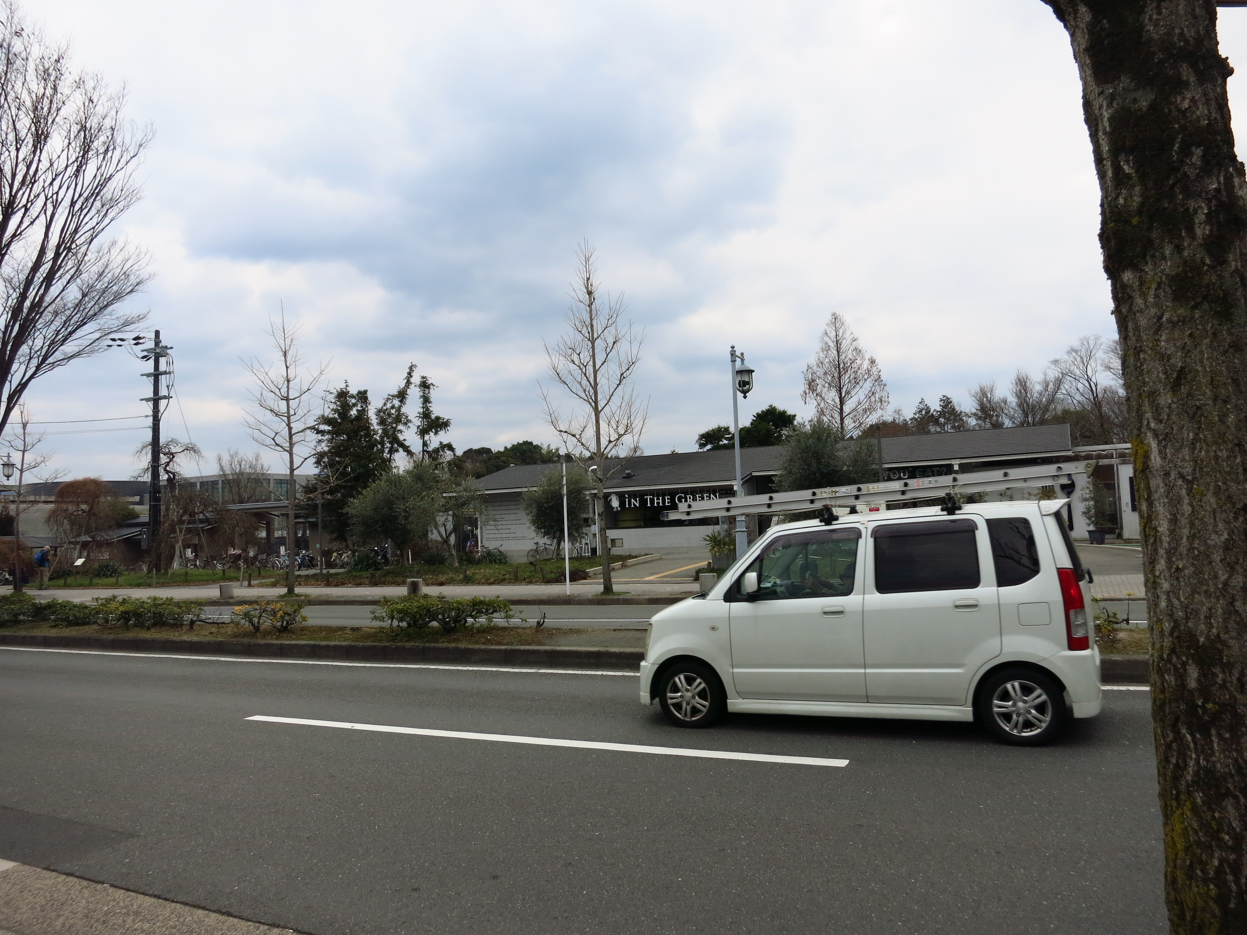 通りをはさんで向かいには、京都府立植物園が見えます。