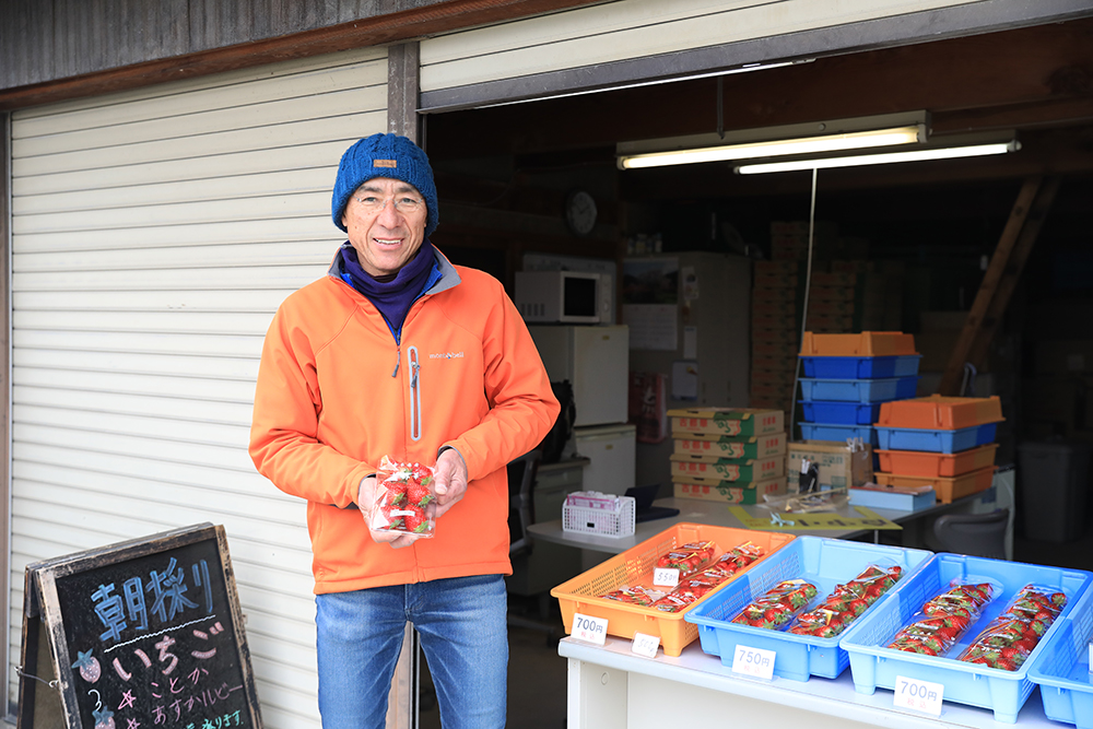 脱サラしてイチゴ栽培を始めた安村さん。笑顔の素敵な方でした！
