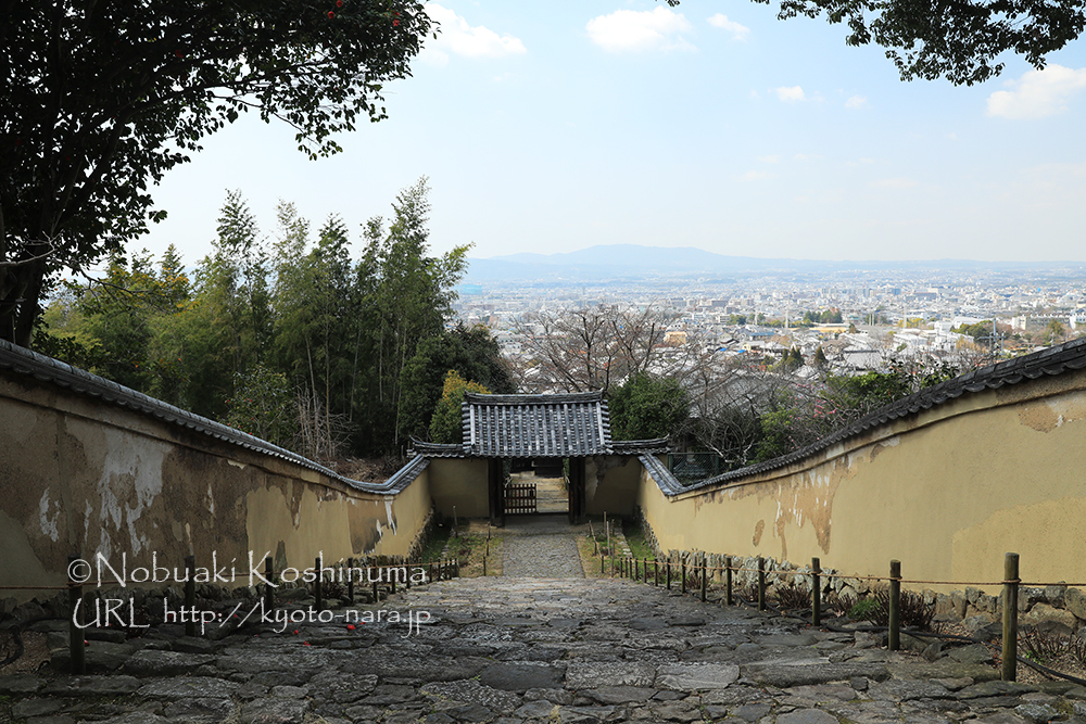 長い石段のあるお寺は奈良市内では珍しいそうです。