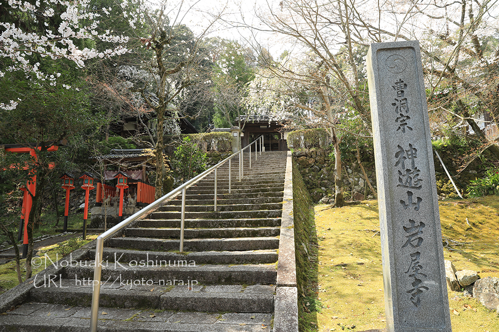 大石神社から歩いて3分の岩屋寺。大石内蔵助が隠棲したと伝わるお寺です。