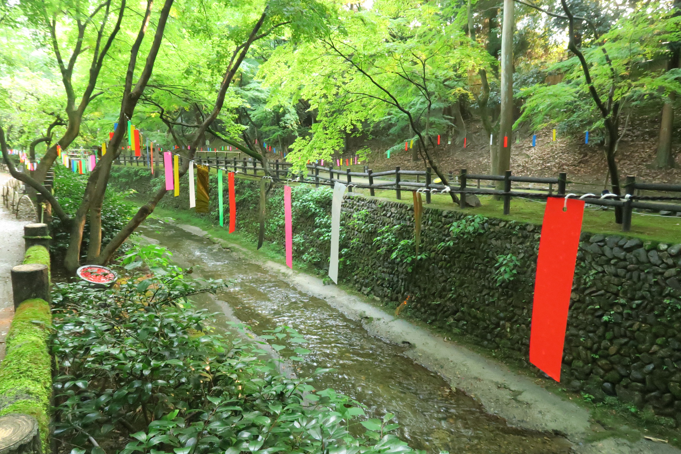 人も少なめでゆっくり散歩道を楽しめます。