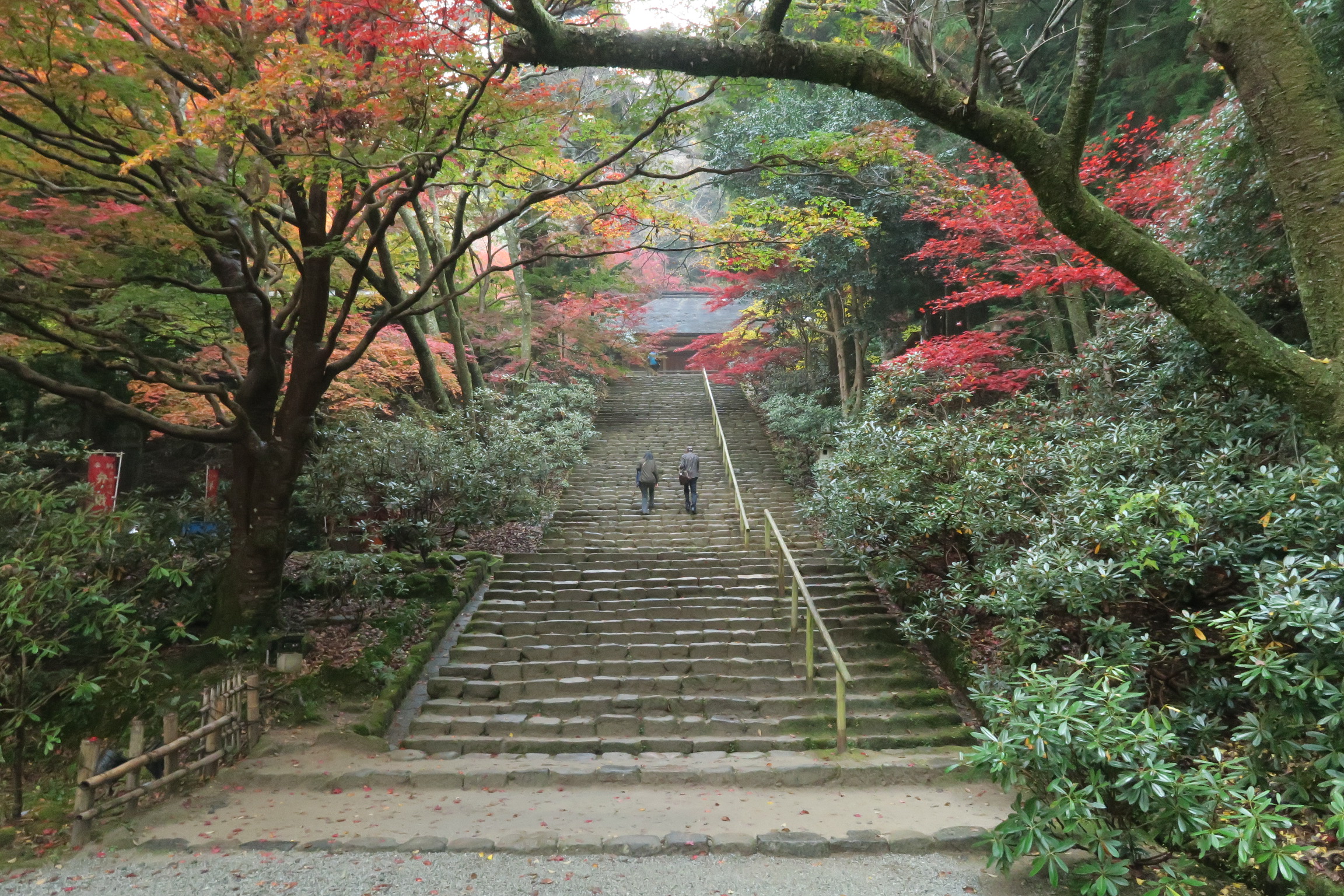 室生寺の名所のひとつ鎧坂。鎧坂というのは石段が編み上げた鎧の様に見えることから呼ばれています。