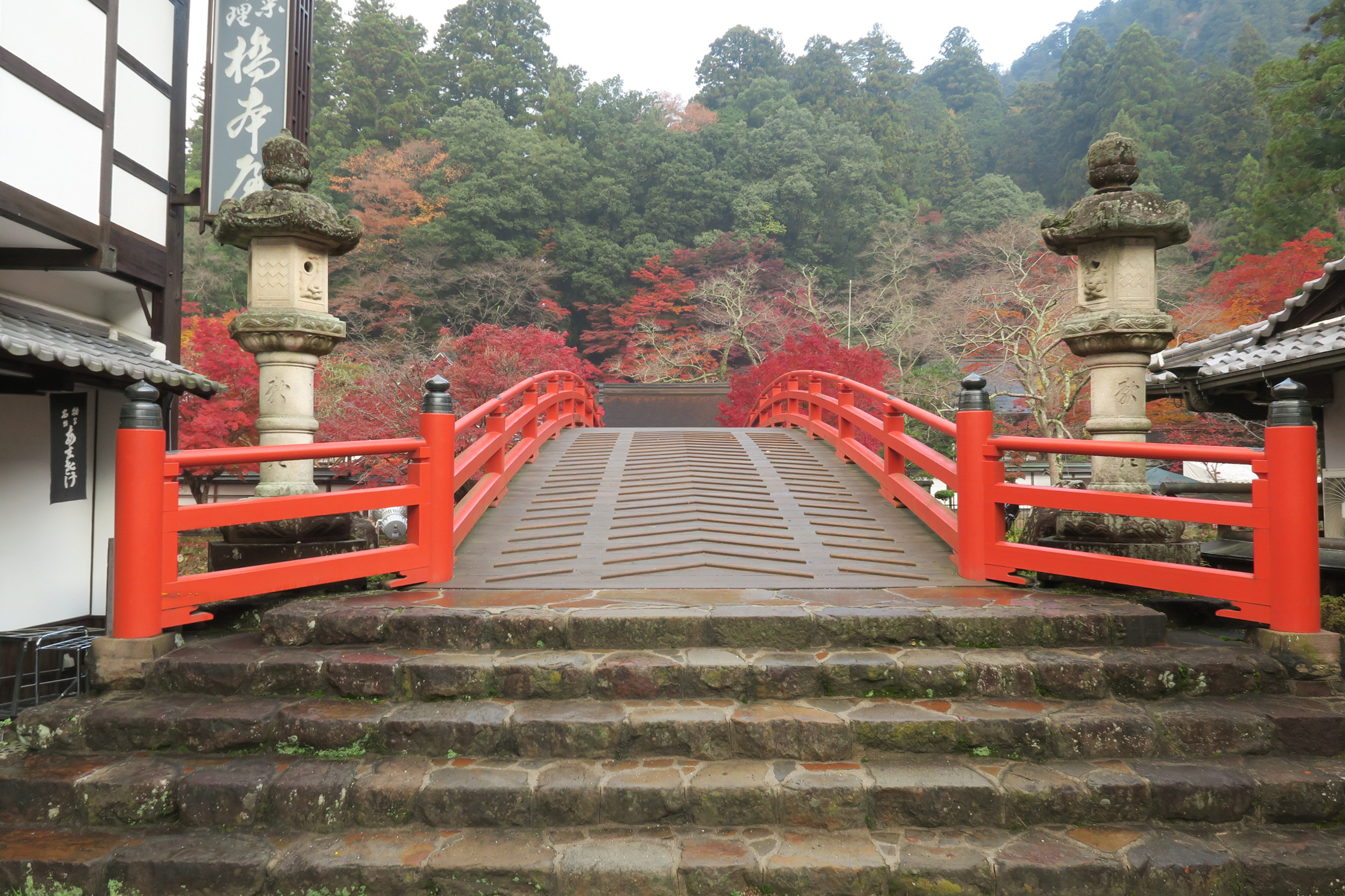 太鼓橋を渡った表門付近の紅葉が見事に染まっていました！ここからの風景も人気です。