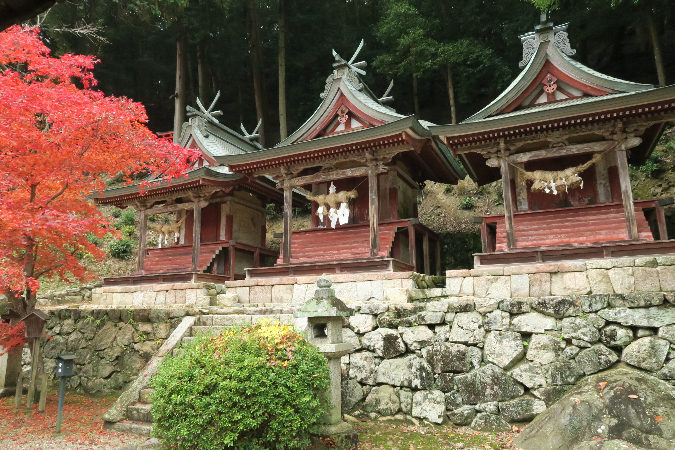 長谷寺本堂の北東裏には、初瀬の里を守る三社権現が祀られています。