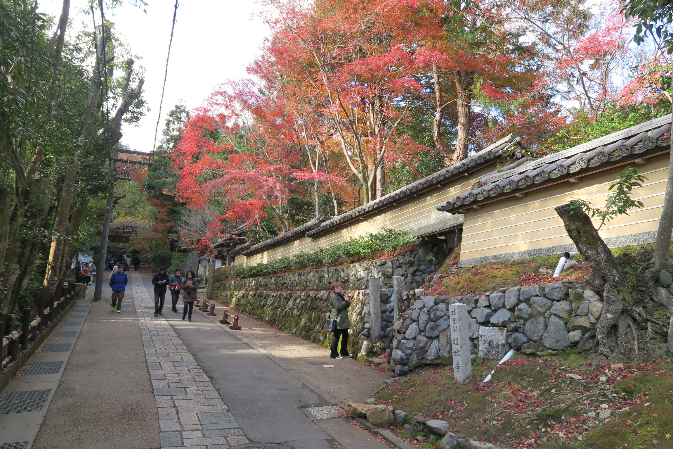 祇王寺の途中にある檀林寺の紅葉がきれいでした。祇王寺も期待してしまいましたが・・・。
