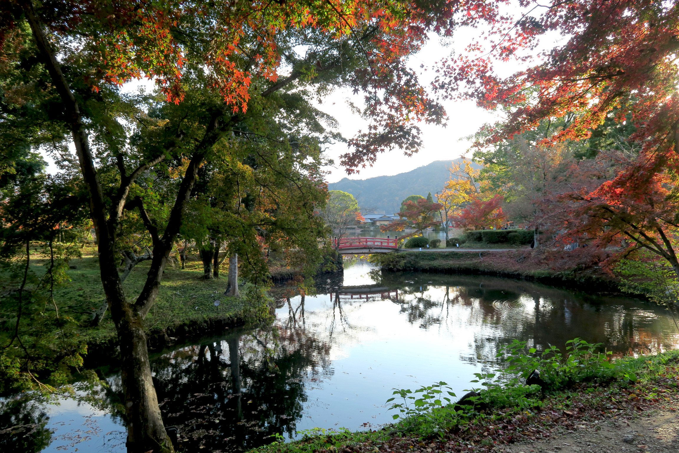 大沢池に夕日が当たり、美しい光景でした。