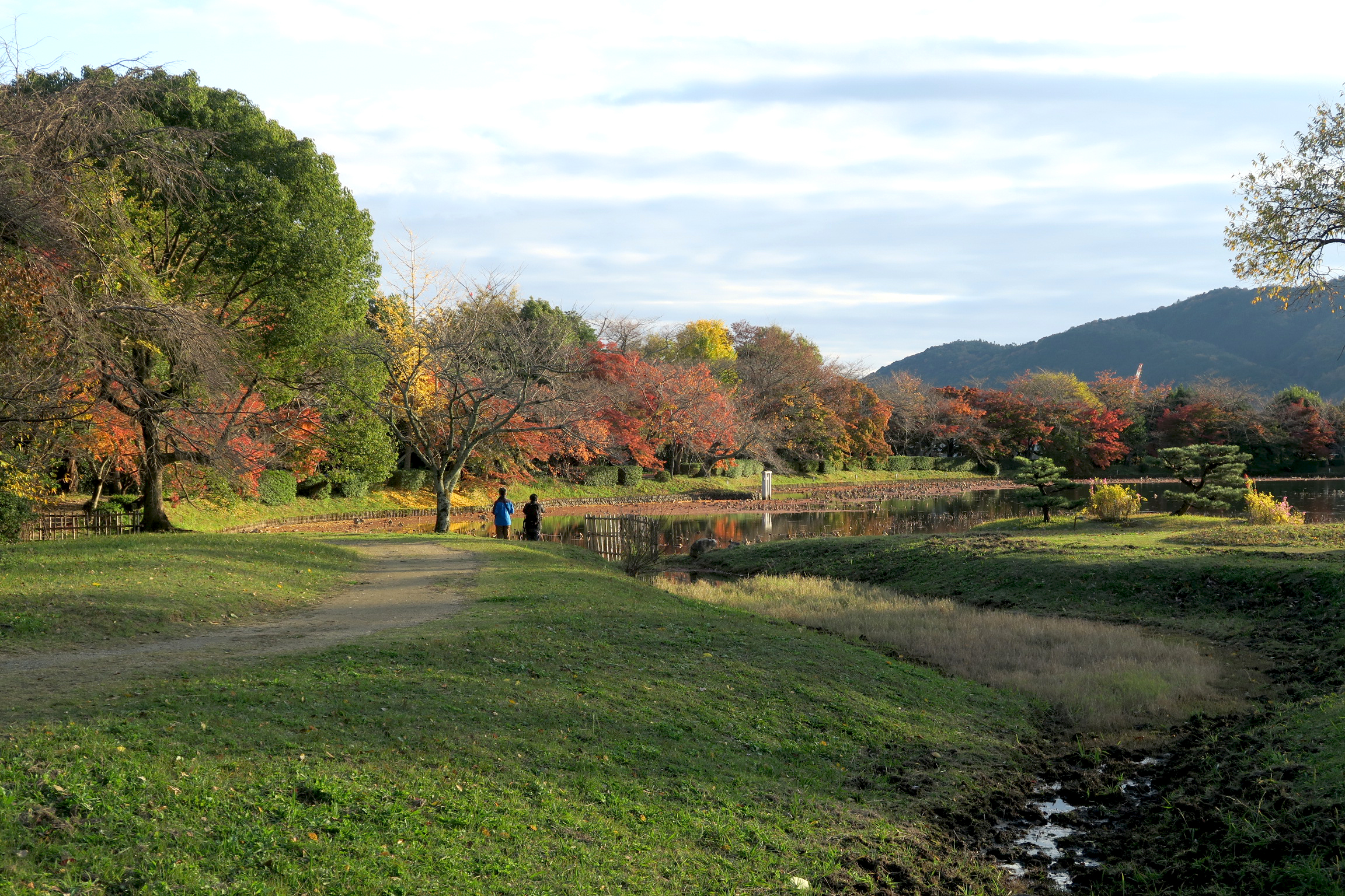 紅葉の季節でものんびりとした時間が過ごせますので、オススメです!