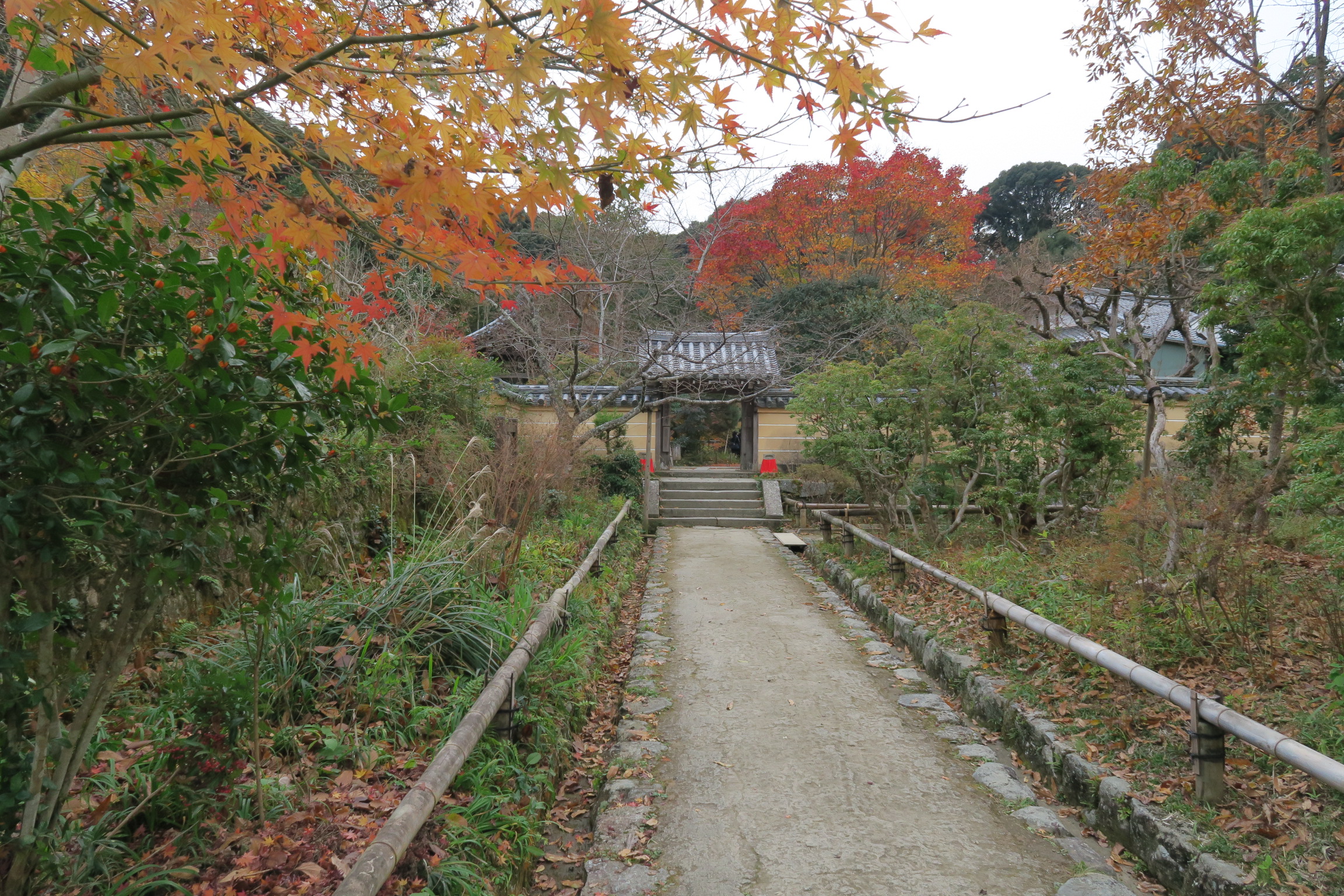 岩船寺からも近い浄瑠璃寺です。