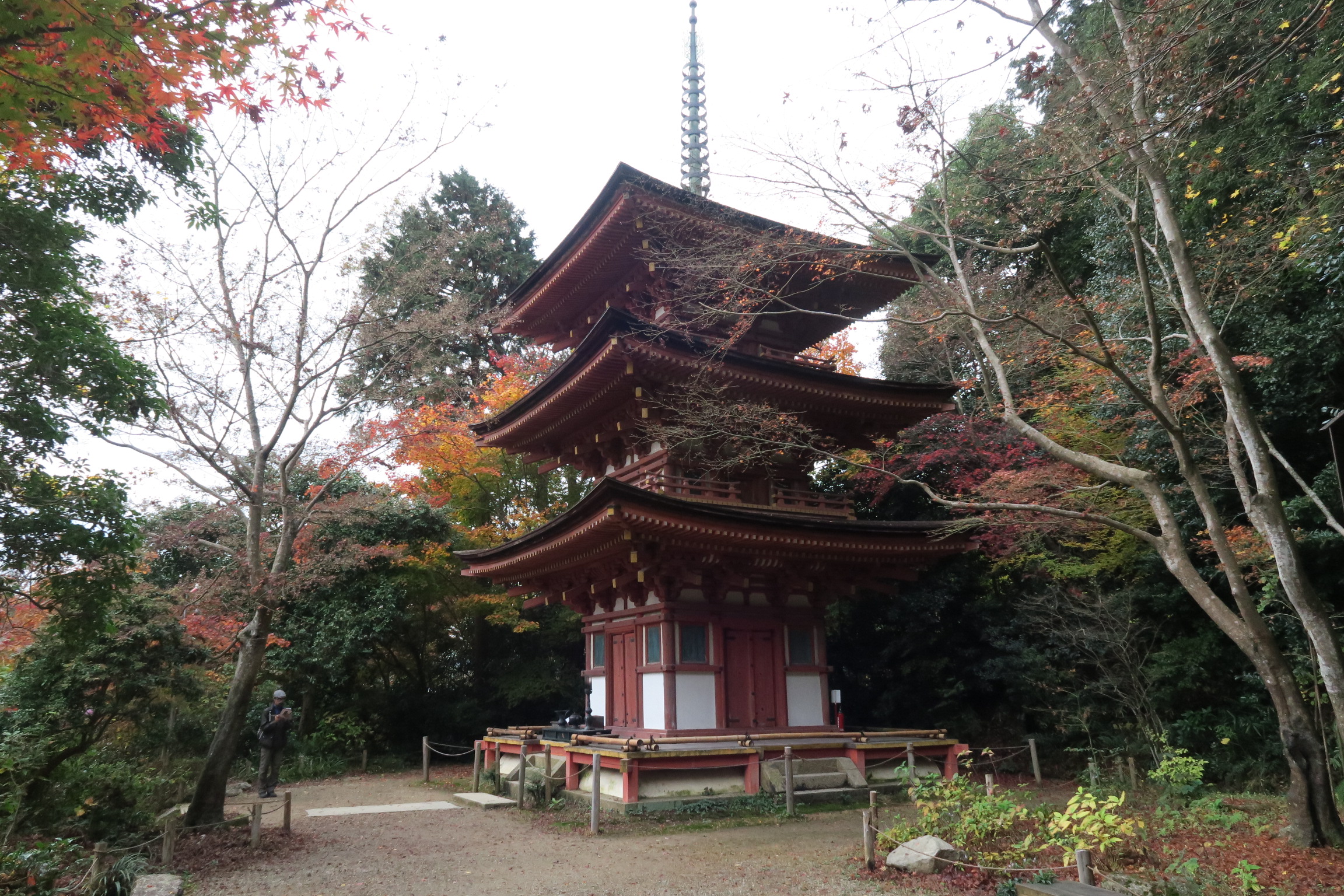 国宝の三重塔。京都の一条大宮から移建されたものらしいのですが、どこの寺院にあったものかは不明とのこと