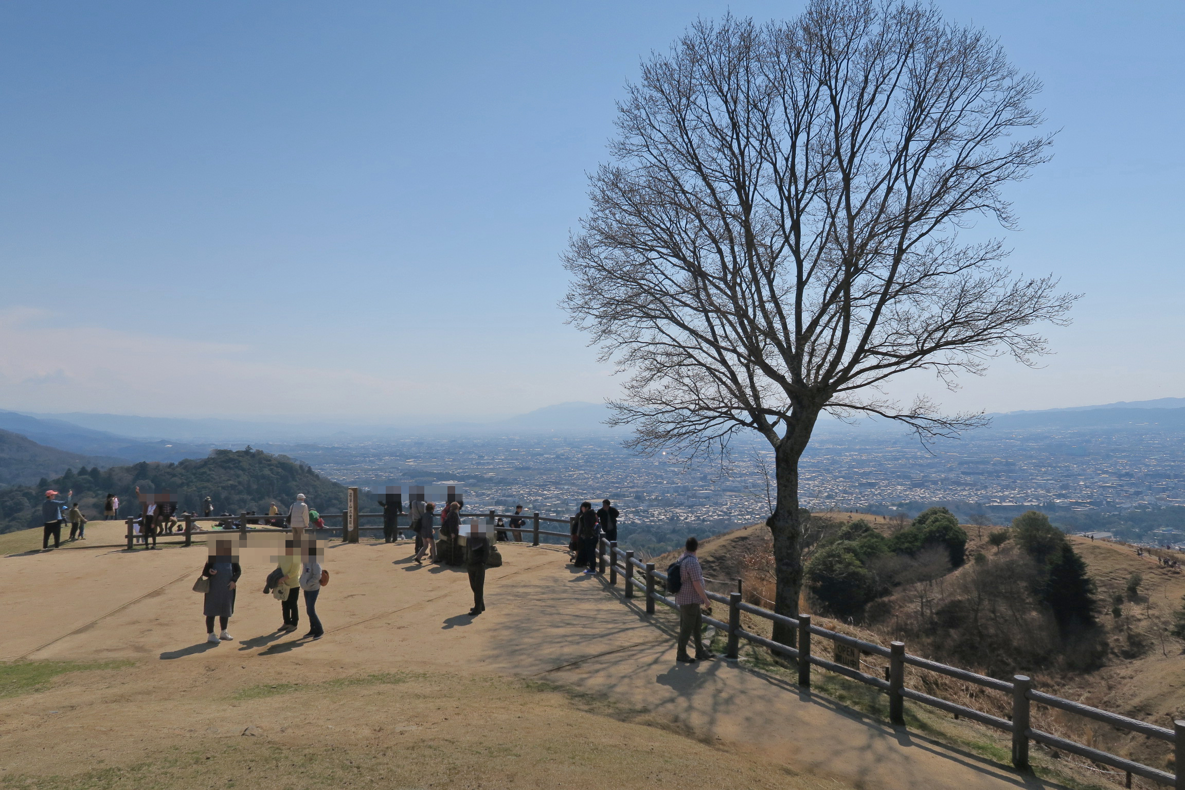 今日は奈良公園周辺の桜の下見をして若草山に向かいます。