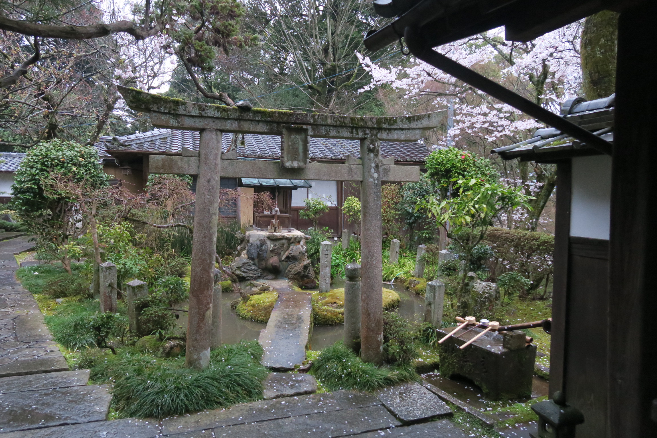 岩屋寺の境内。しっとりといい雰囲気でした。