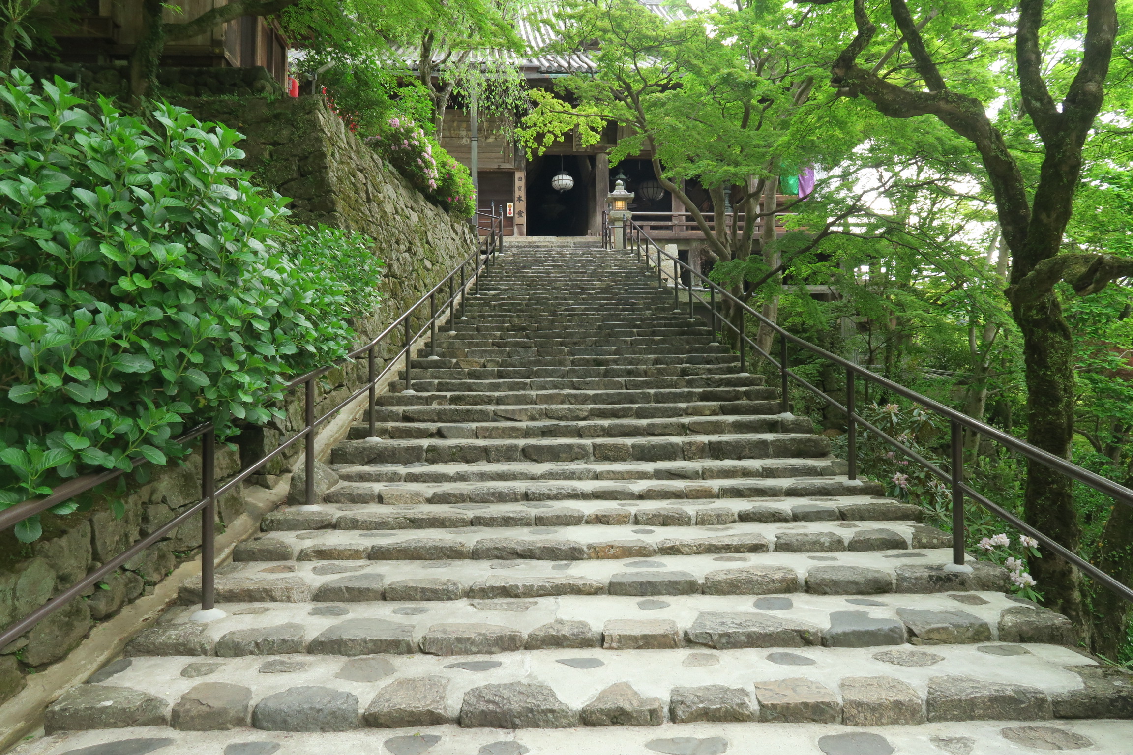 本堂までの石段。早朝から掃除をしているスタッフさんがいて、清掃が行き届いています。気持ちがいいですね