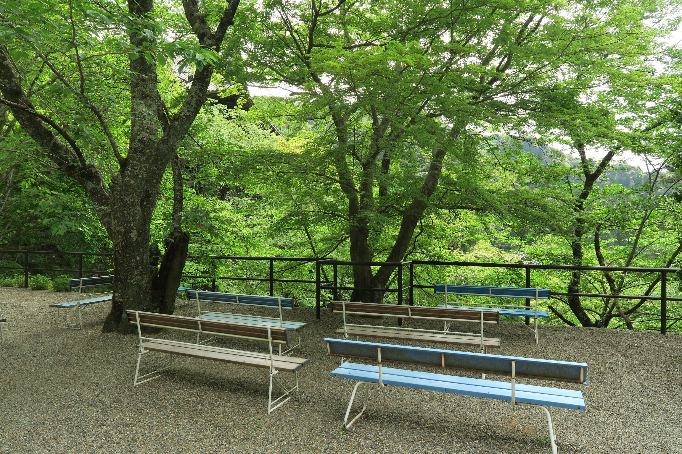 御守授与所の隣に休憩所があります。椅子に座って新緑を満喫。軽く朝食を食べました!