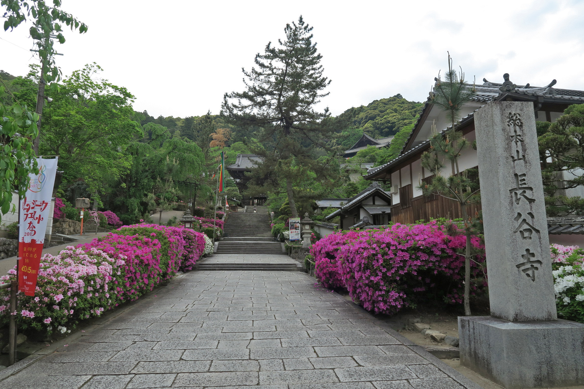 仁王門前はツツジの花が満開!修繕中だった仁王門もH29年3月に完成。工事幕は取れたばかりです