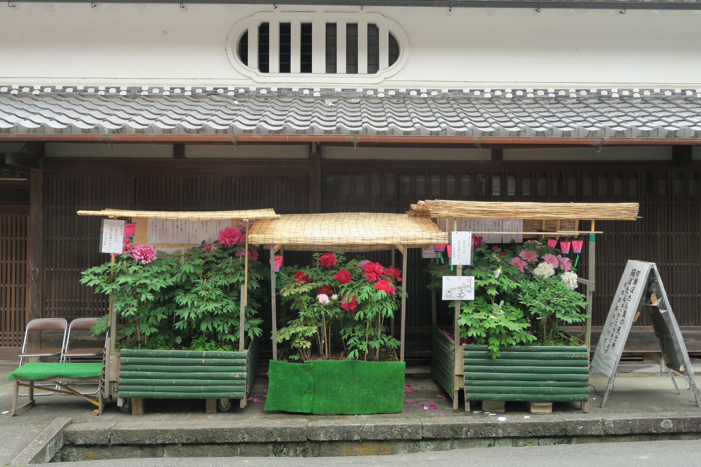 長谷寺の牡丹まつりでは、写真のような「箱ぼたん」が町のあちこちに設置されています。