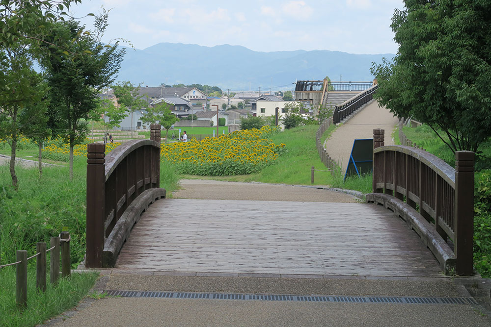 奈良県営馬見丘陵公園