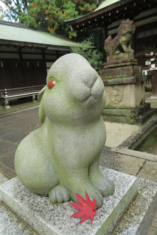 岡崎神社　うさぎ