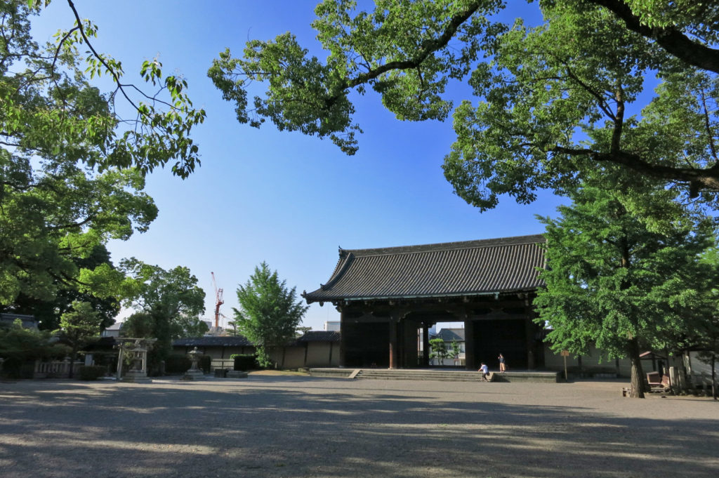 世界遺産　東寺　桜