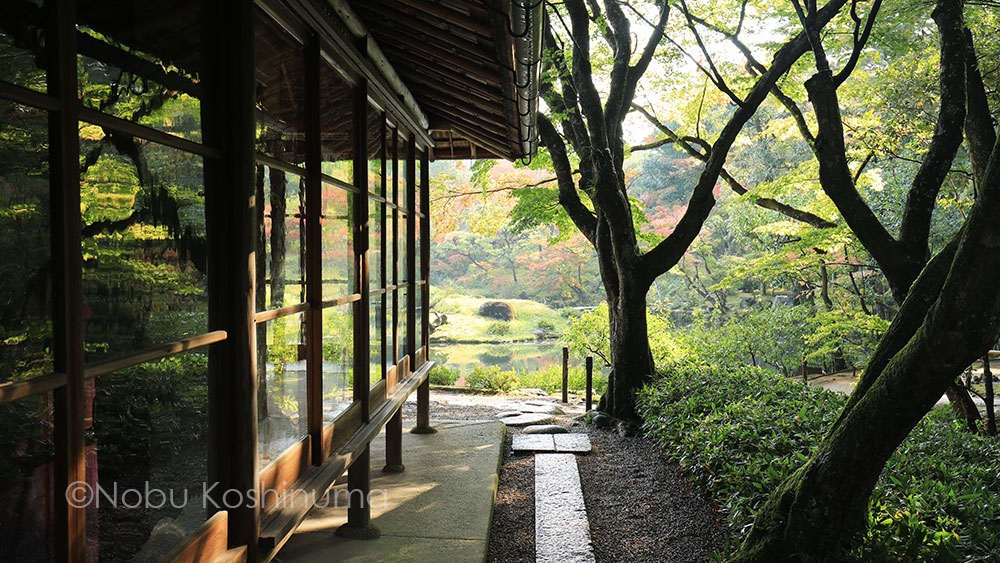 奈良　依水園　日本庭園　紅葉