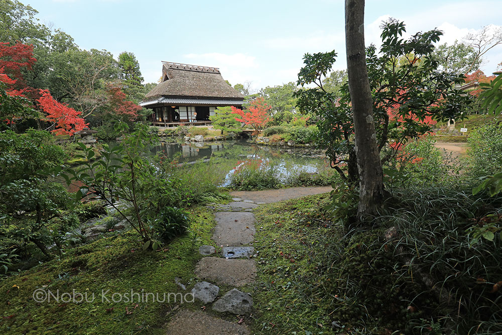 奈良　依水園　日本庭園