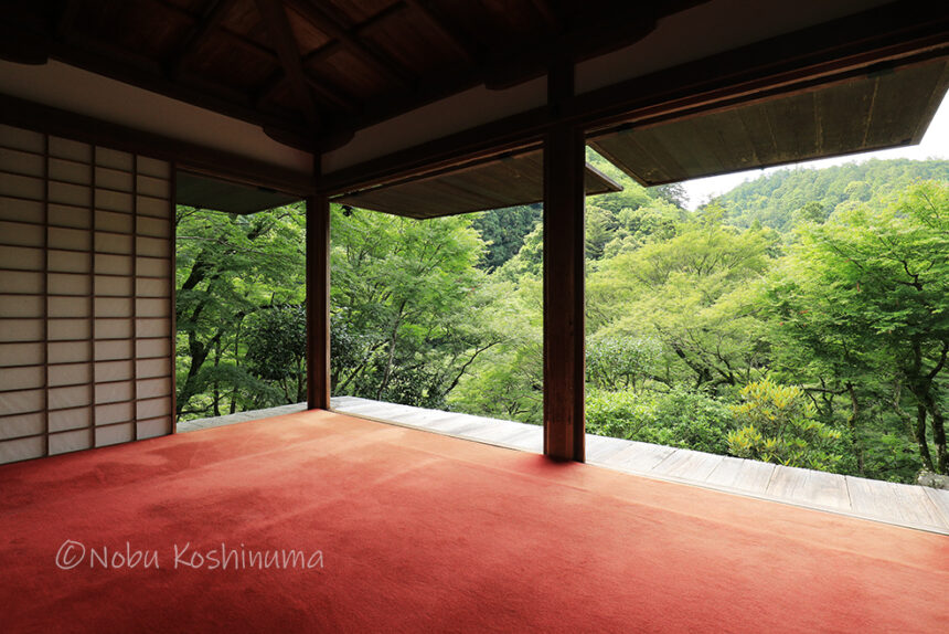 高山寺 京都 世界遺産 自ら耳を切り落とした明恵上人 多くの分解財と紅葉の美しさで知られる高山寺 京都奈良 Jp